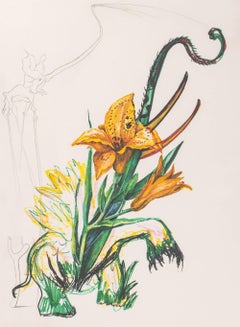 Salvador Dali "Daylily (Elephant)" Etching, 1972