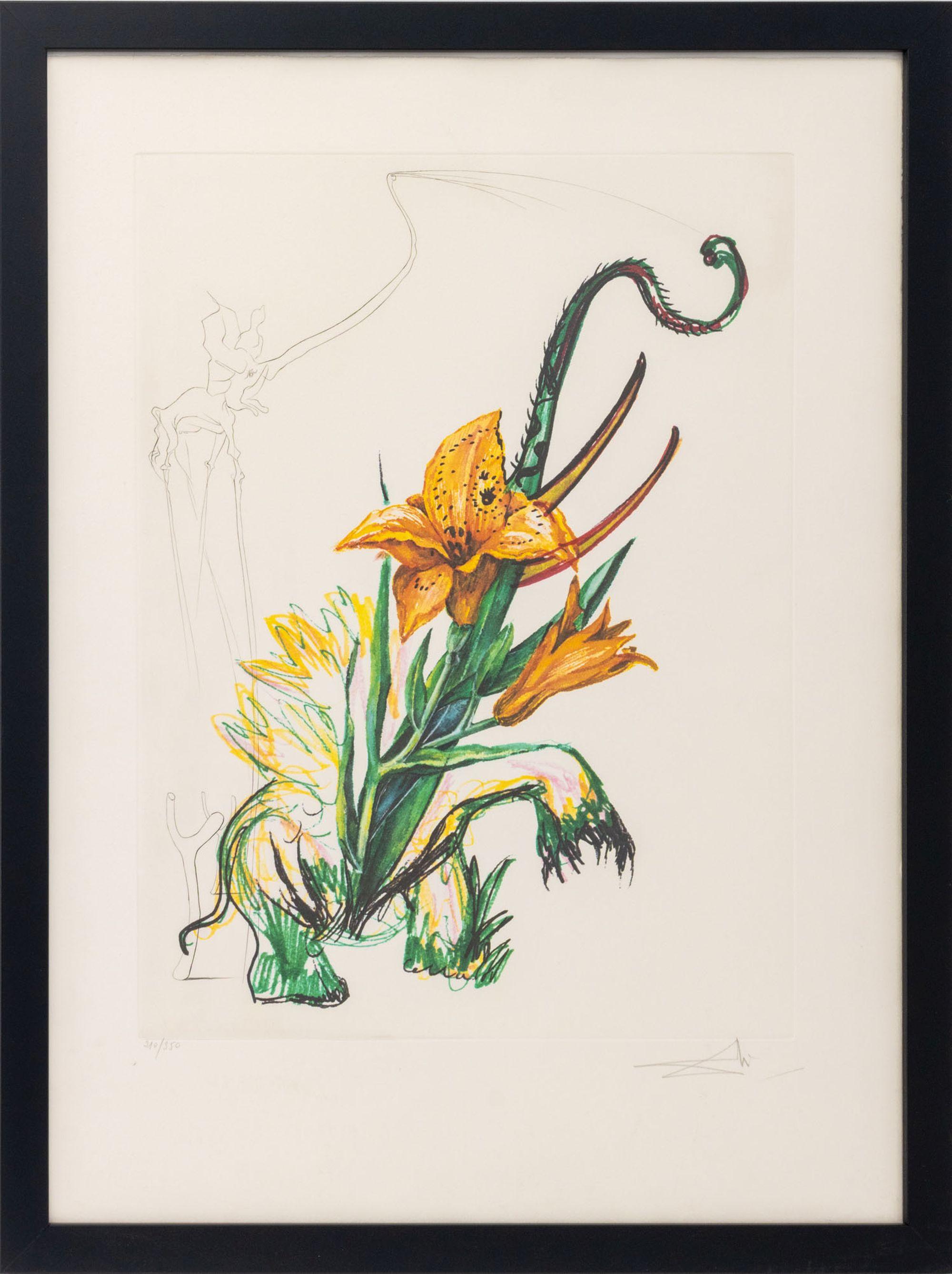 Salvador Dali "Daylily (Elephant)" Surrealist Etching, Signed, 1972