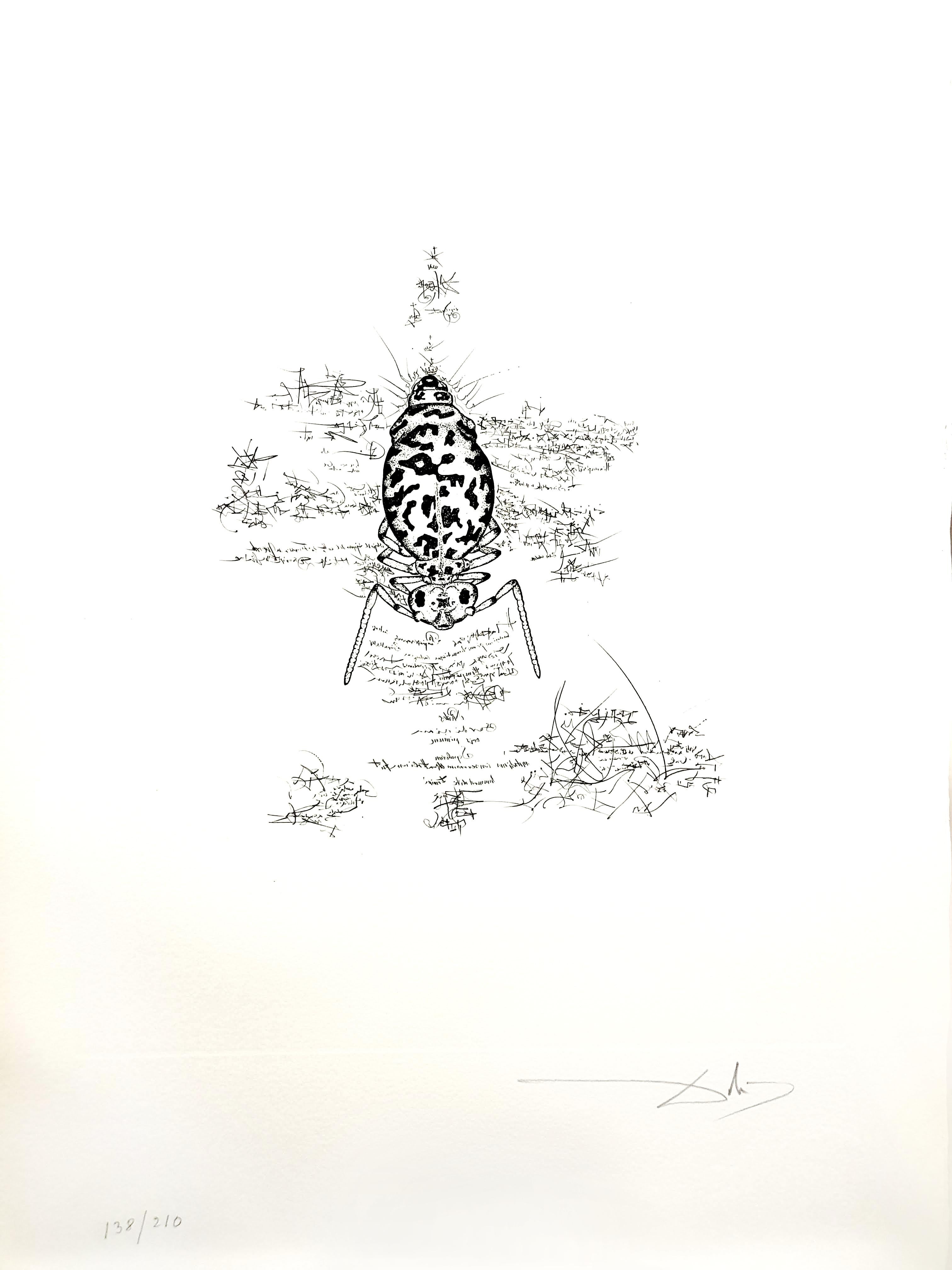 Salvador Dali - Dix Recettes d’Immortalite - Original Signed Artworks For Sale 5