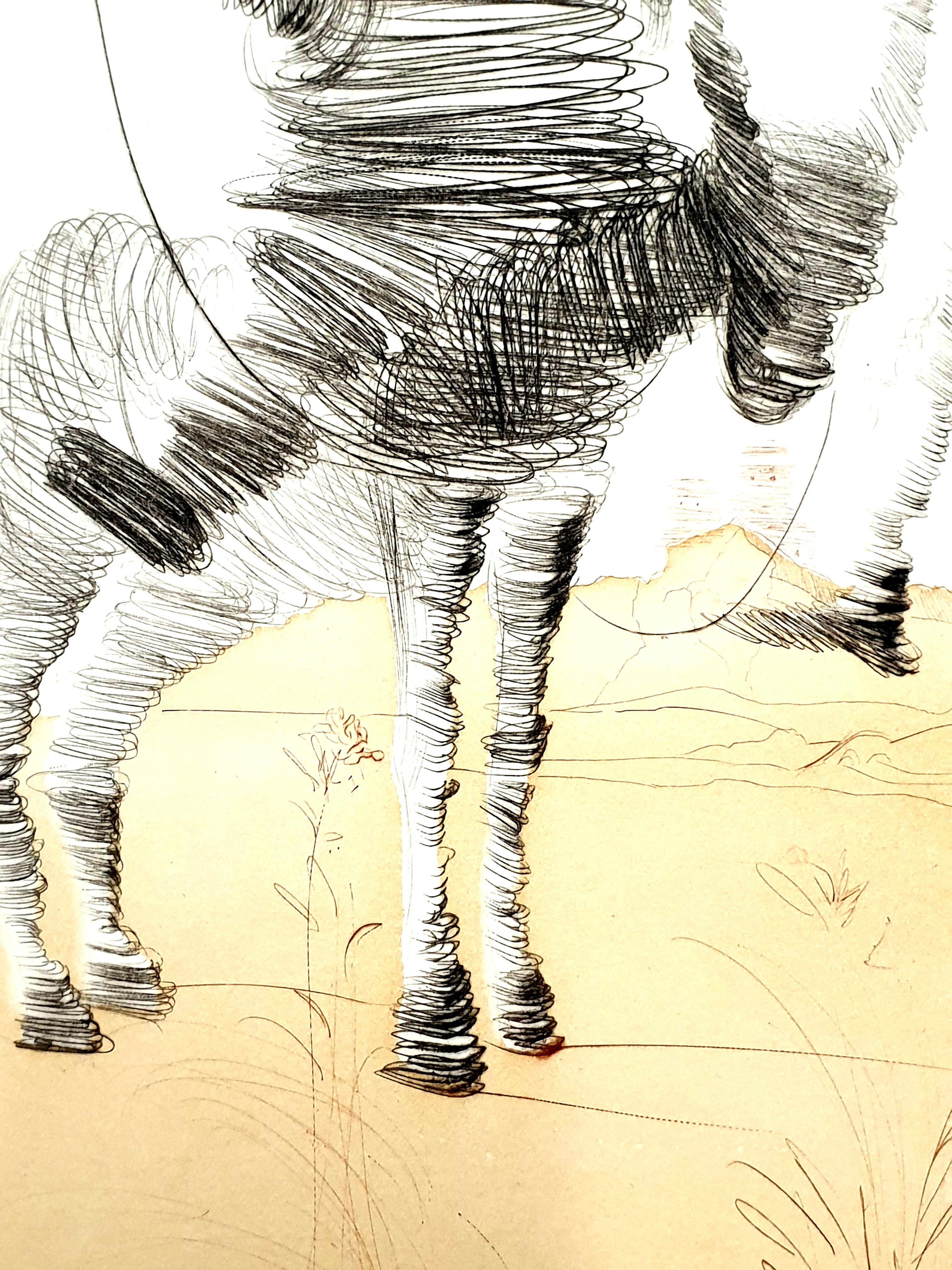 Salvador Dali - Don Quijote y Sancho - Grabado original firmado a mano 4
