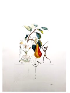 Salvador Dali - Don Quijote Birne - Original hand-signierte Lithographie