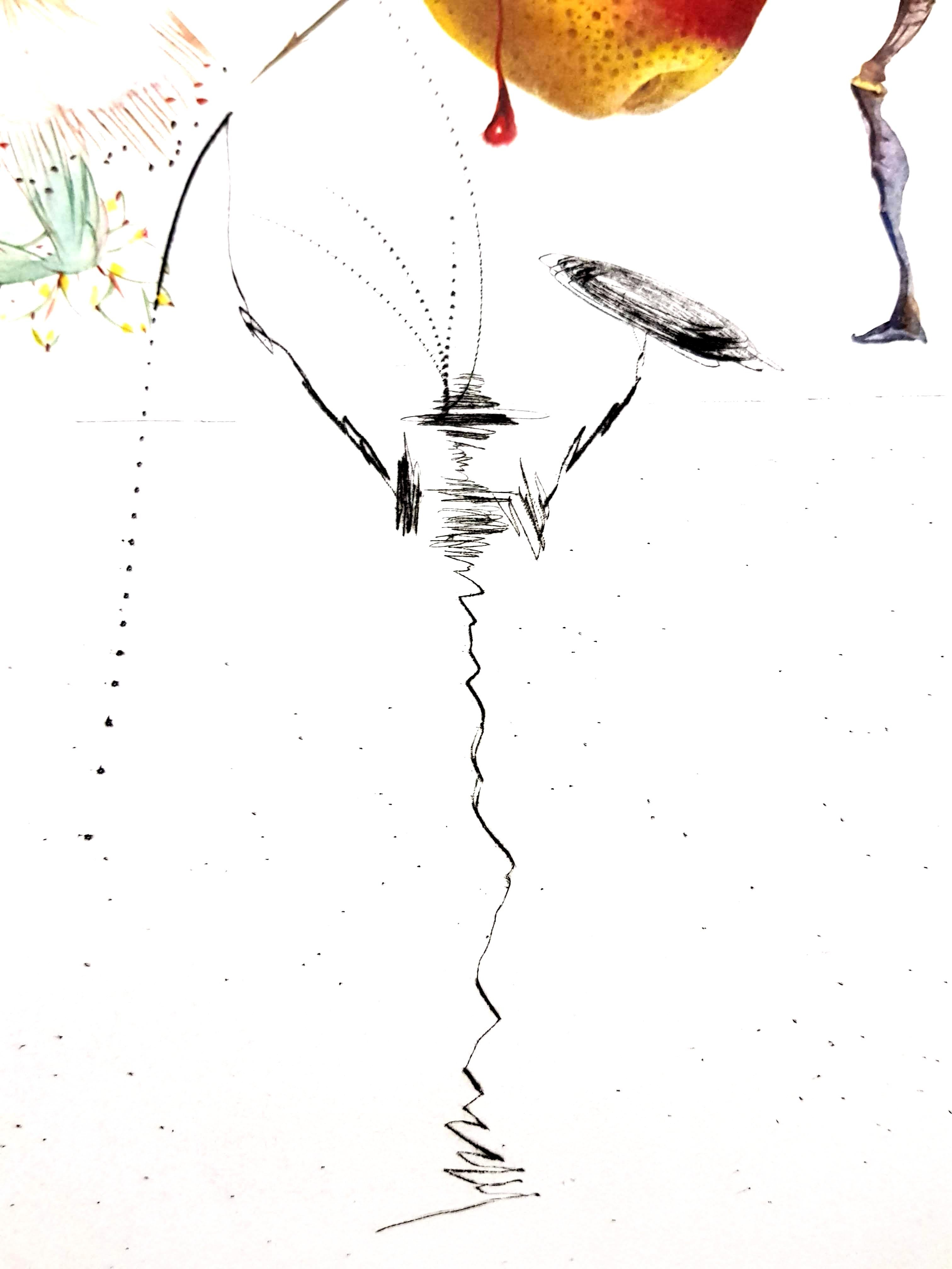 Salvador Dali - Don Quichotte poire - Lithographie originale signée à la main en vente 2