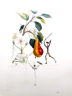 Salvador Dali - Don Quixote Pear - Original Hand-Signed Lithograph
