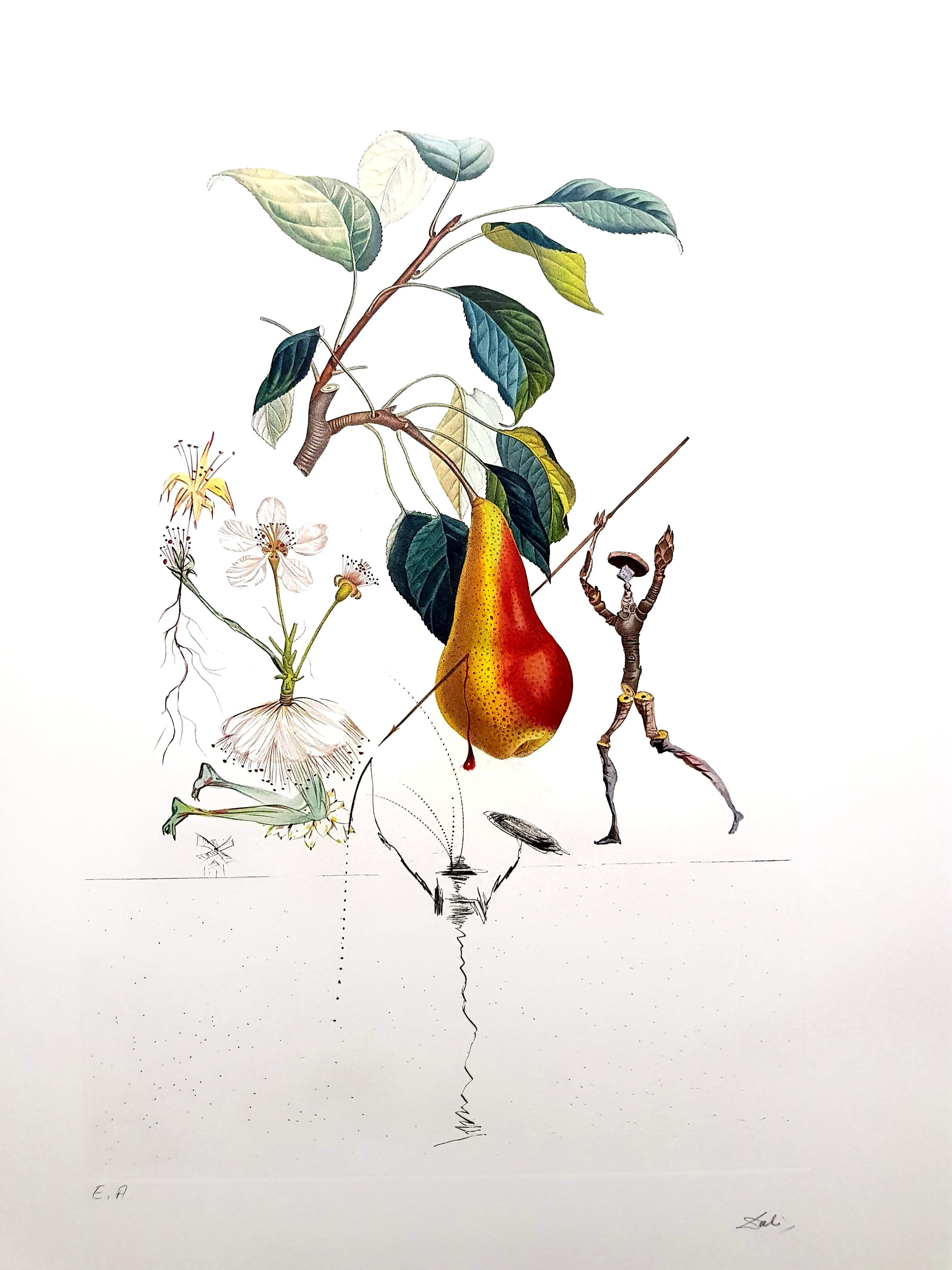 Salvador Dali - Don Quichotte poire - Lithographie originale signée à la main