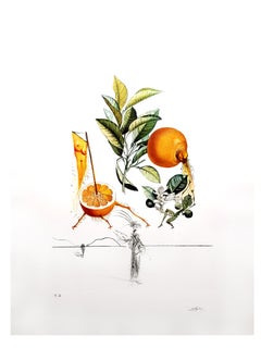 Salvador Dali - Erotic Grapefruit - Original Hand-Signed Lithograph