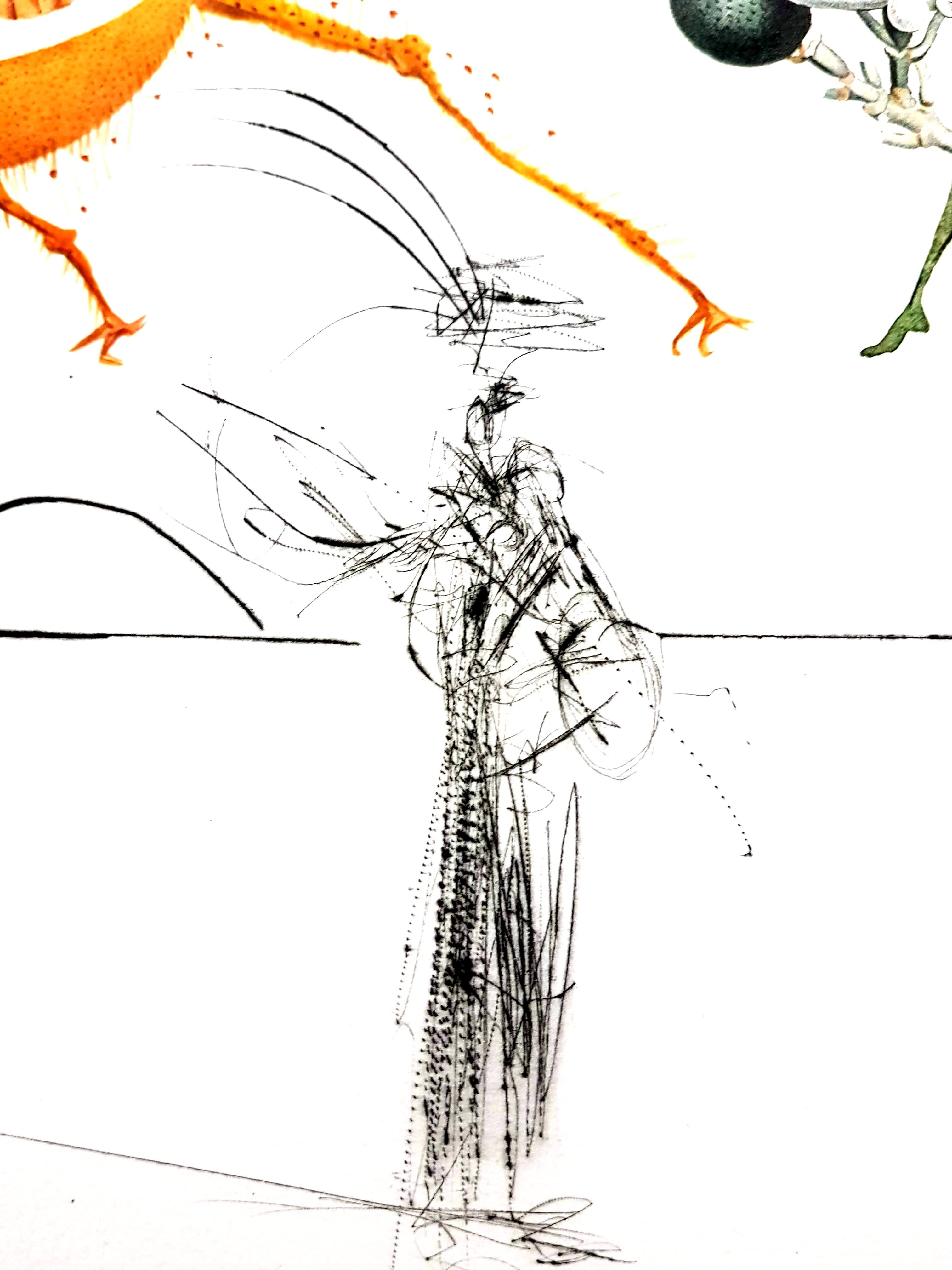 Salvador Dali - Erotische Pampelmuse - Original handsignierte Lithographie
1969
Abmessungen: S. 57 x 37 cm
Blatt: 75 x 56 cm 
Handsigniert, EA (Epreuve d'Artiste)
Ausgezeichneter Condit
Referenz: Feld 69-11 (Seite 54)