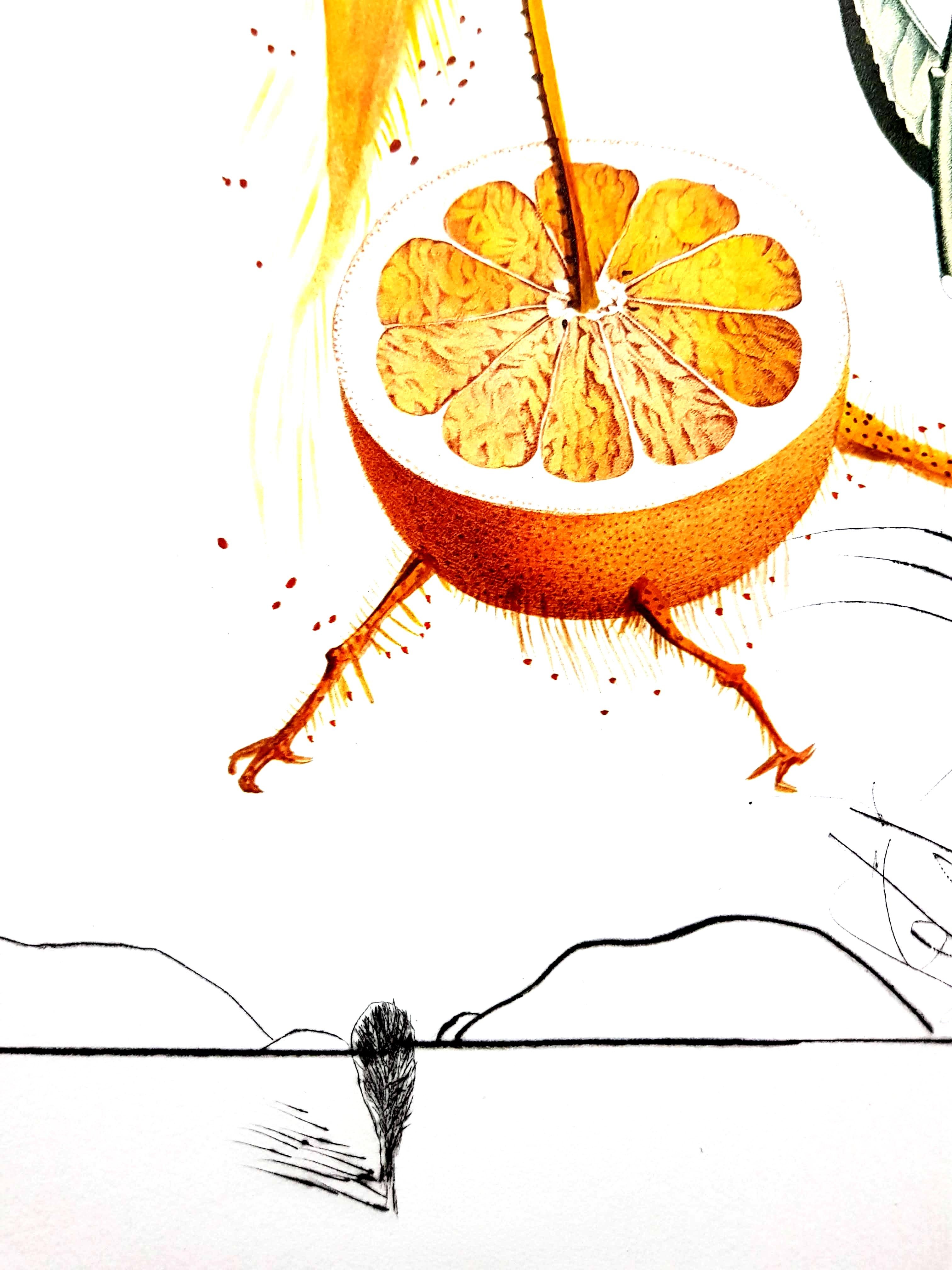 Salvador Dali - Erotic Grapefruit - Original Hand-Signed Lithograph - Surrealist Print by Salvador Dalí