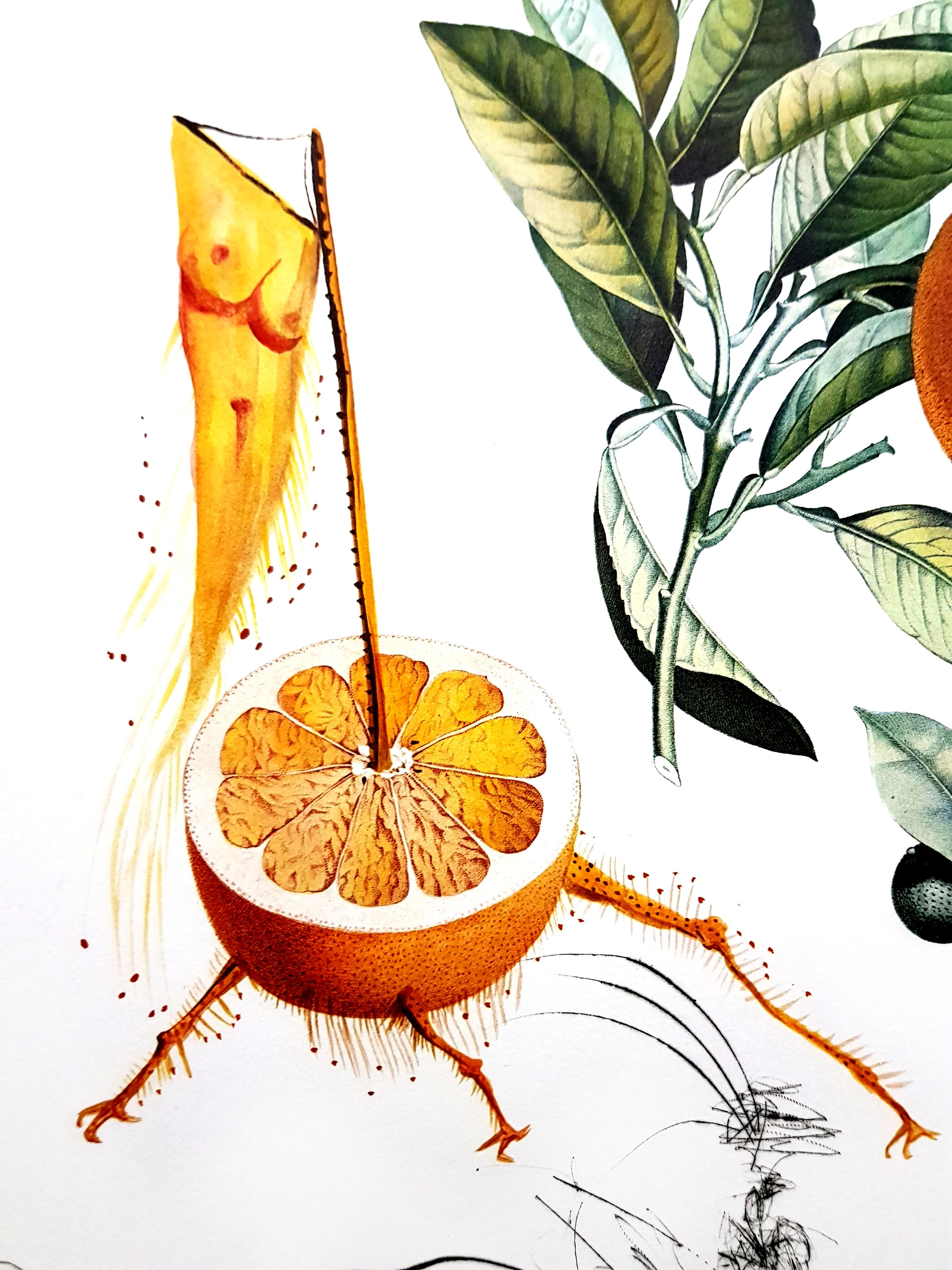 Salvador Dali - Erotic Grapefruit - Original Hand-Signed Lithograph - Orange Nude Print by Salvador Dalí