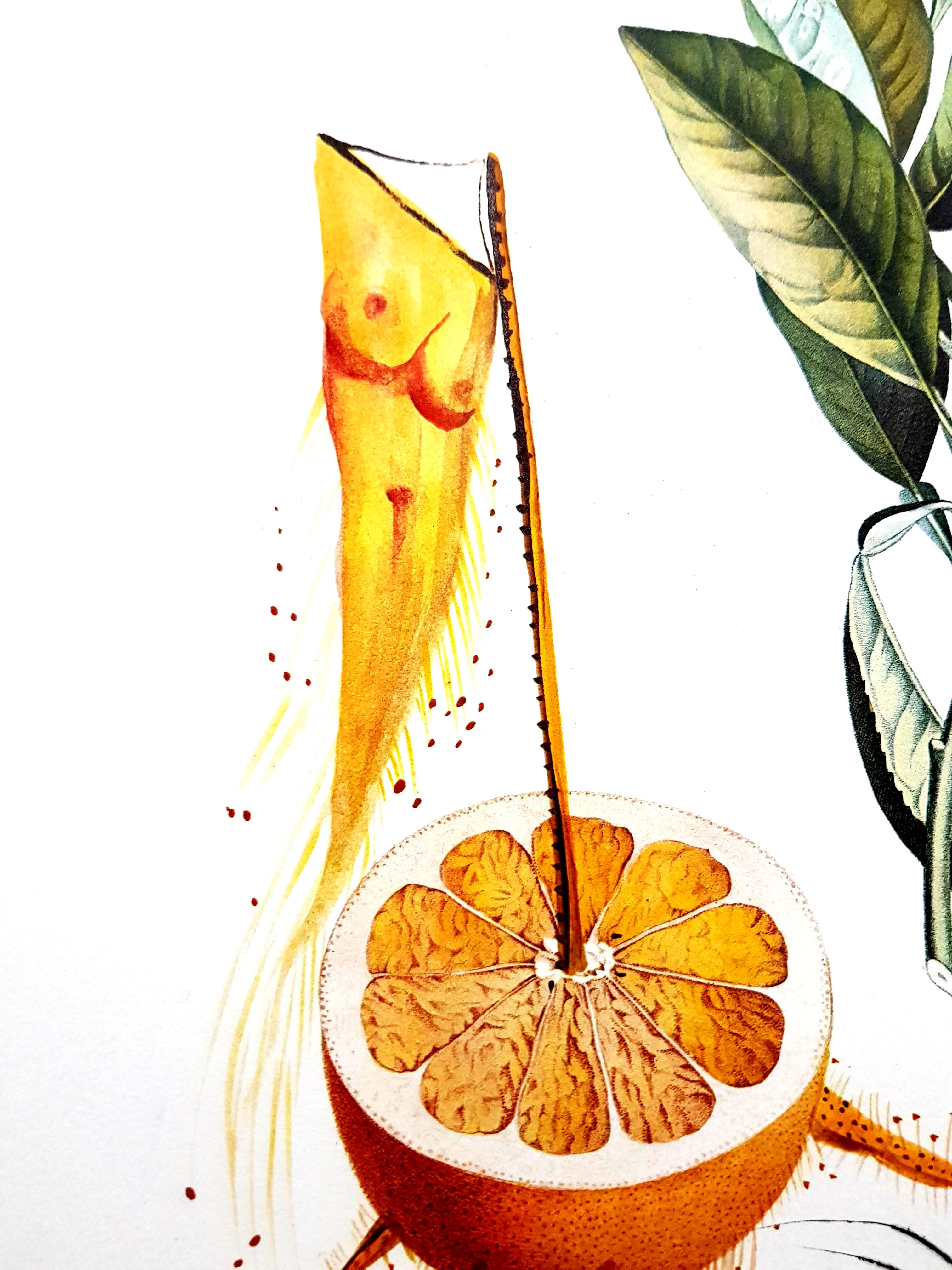 Salvador Dali – Erotische Grapefruit – Original handsignierte Lithographie im Angebot 3
