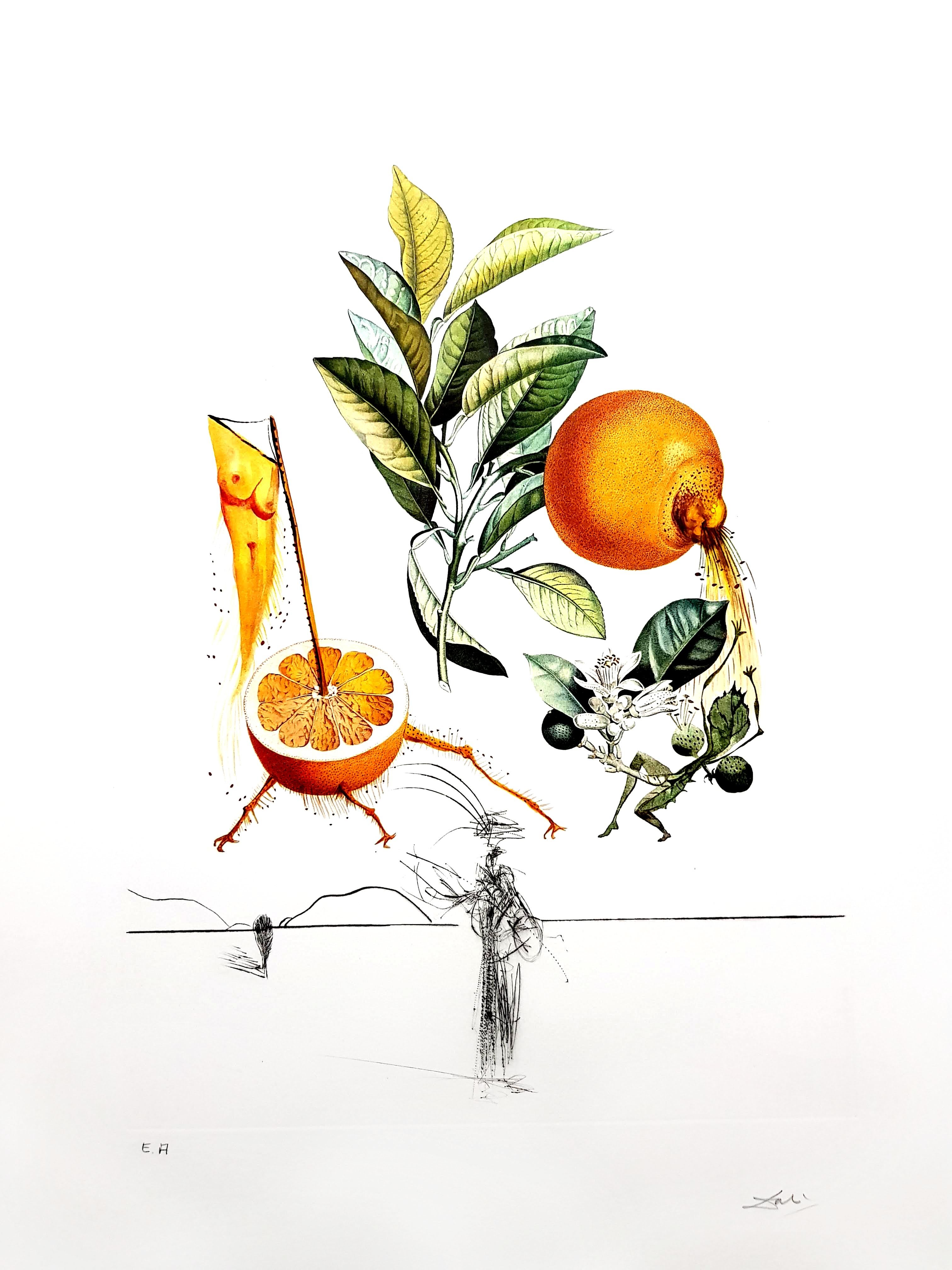 Salvador Dali – Erotische Grapefruit – Original handsignierte Lithographie