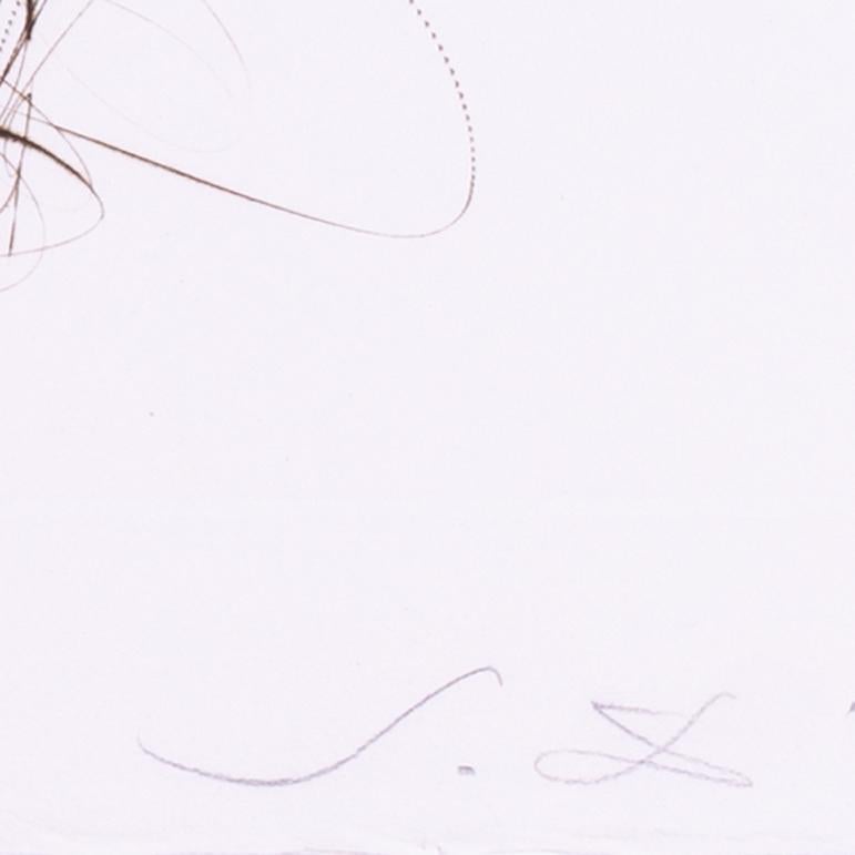 Salvador Dali etching, signed with monogram, Frere Ogrin l’ermite - Gray Figurative Print by Salvador Dalí