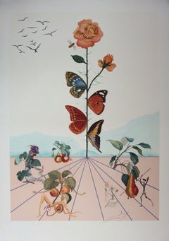 Salvador Dalí - Flordali II, Rosa Mariposa