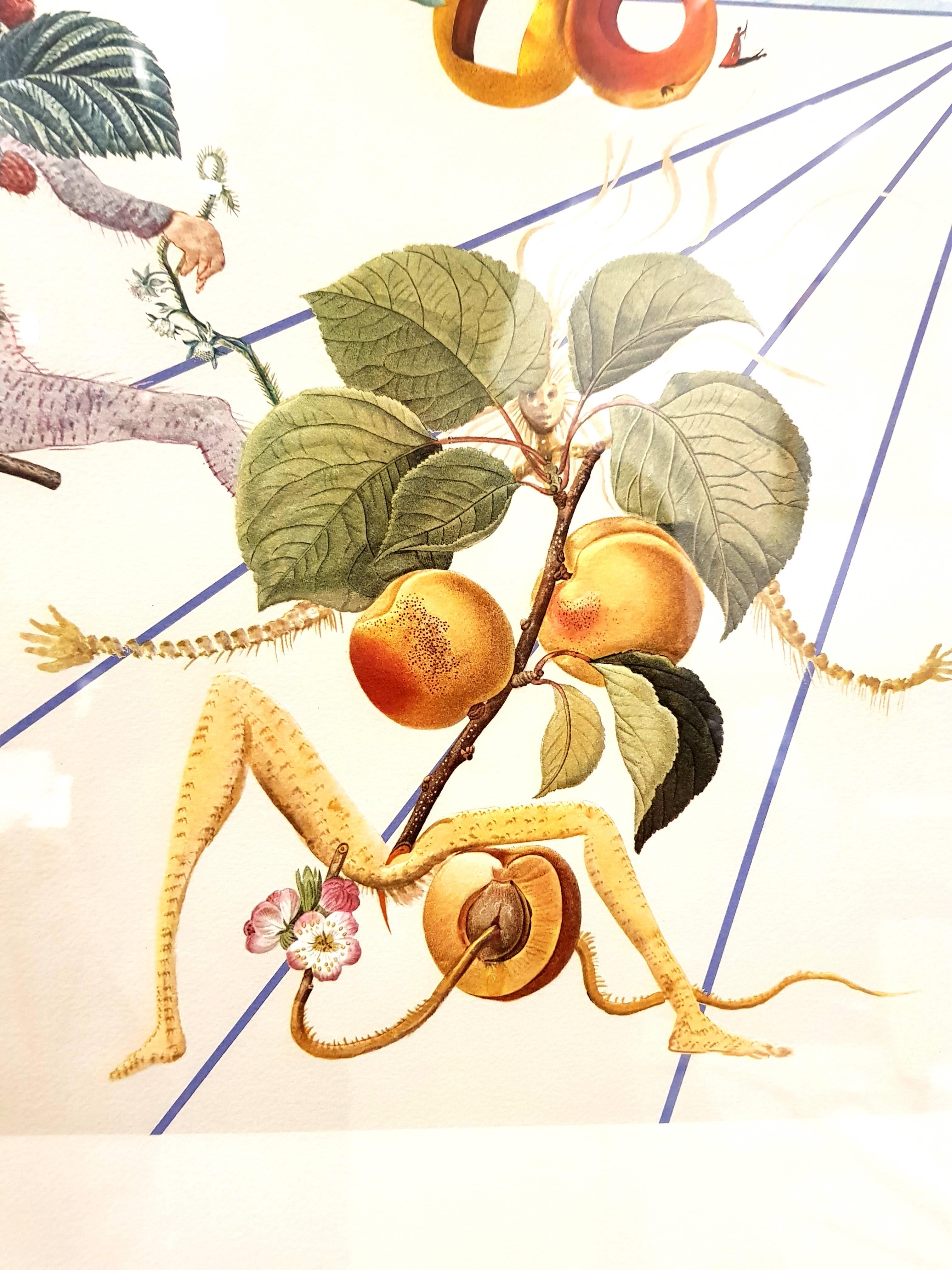 Salvador Dali - Lithographie
Titre : Flordali II
Dimensions : 75,8 x 106 cm : 75,8 x 106 cm
Référence : Michler et Löpsinger n° 1587, Champ p. 233.
Extrait de l'édition numérotée de 5000 exemplaires
Avec signature imprimée, telle que