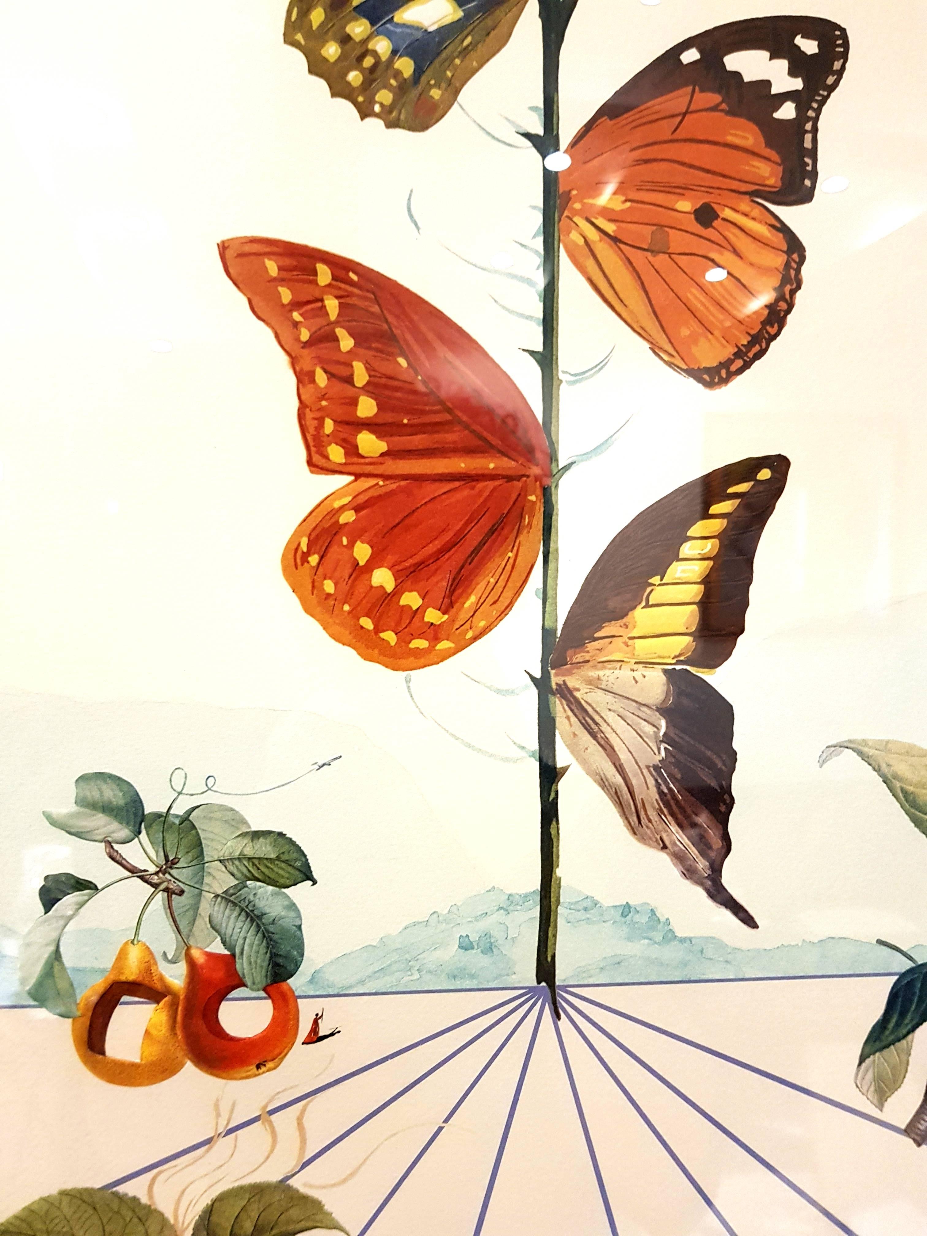 Salvador Dalí - Flordali II - Litografía 8