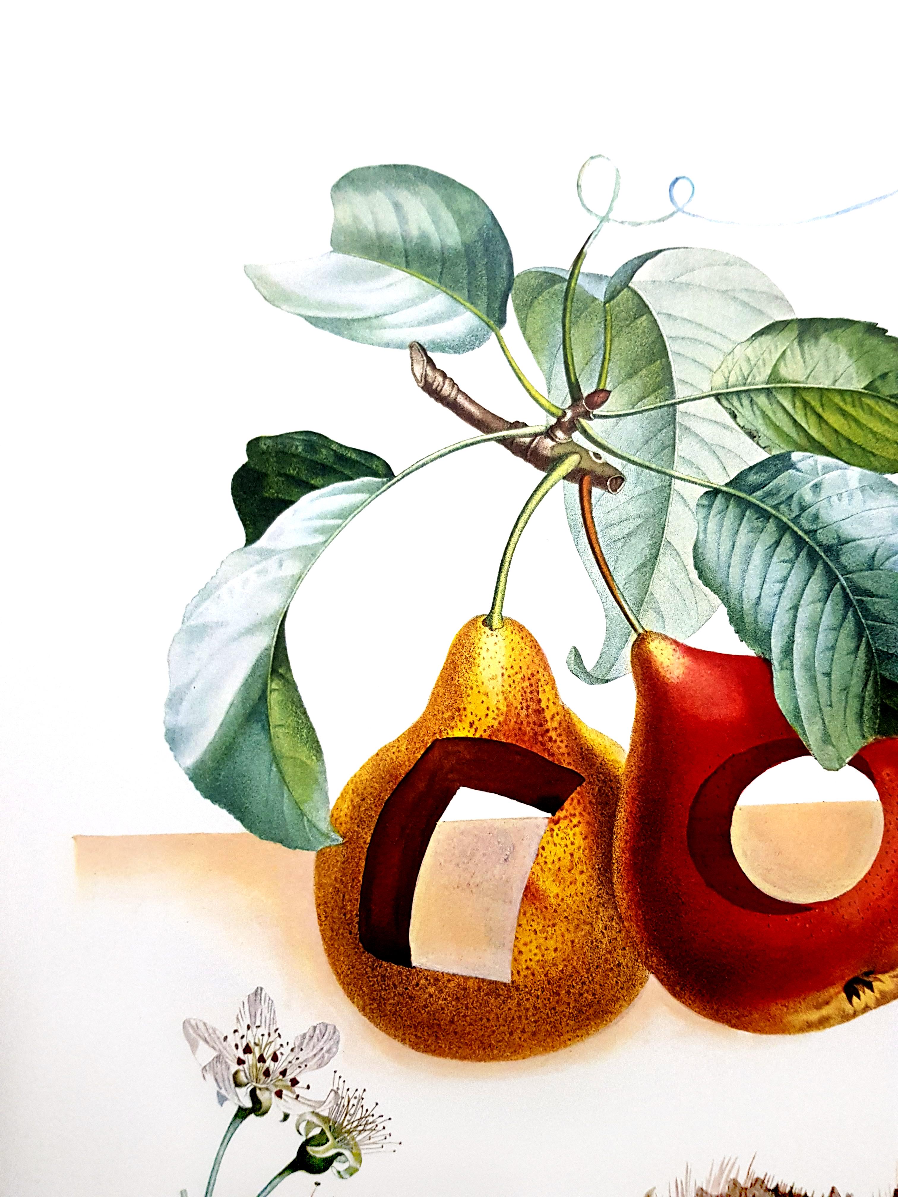 Salvador Dali - Fruits With Holes - Original Hand-Signed Lithograph For Sale 2