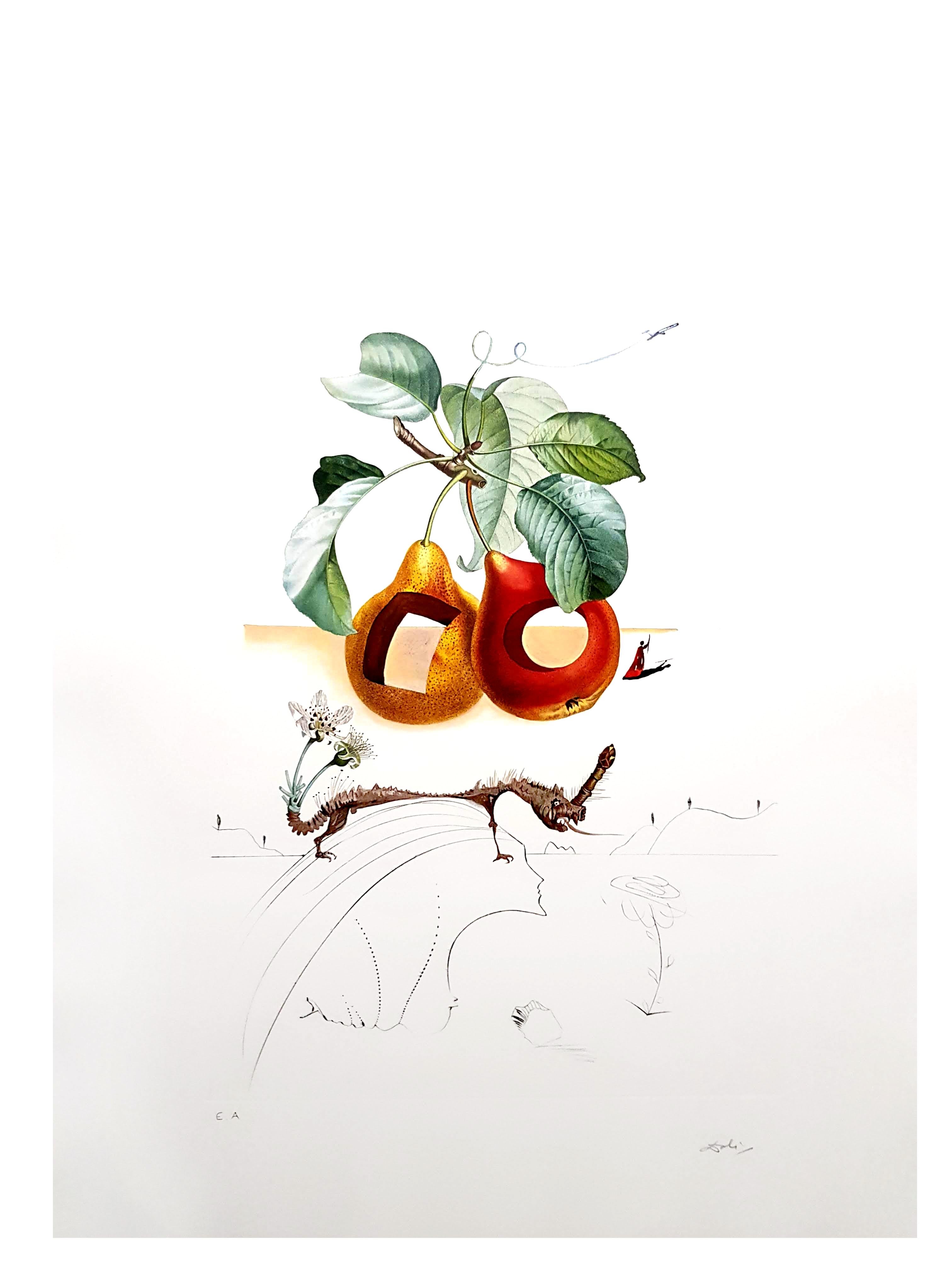 Salvador Dali - Fruits With Holes - Original Hand-Signed Lithograph For Sale 5
