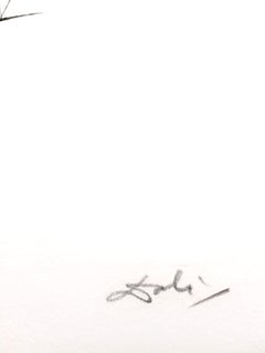 Salvador Dali - Fruits With Holes - Original Hand-Signed Lithograph