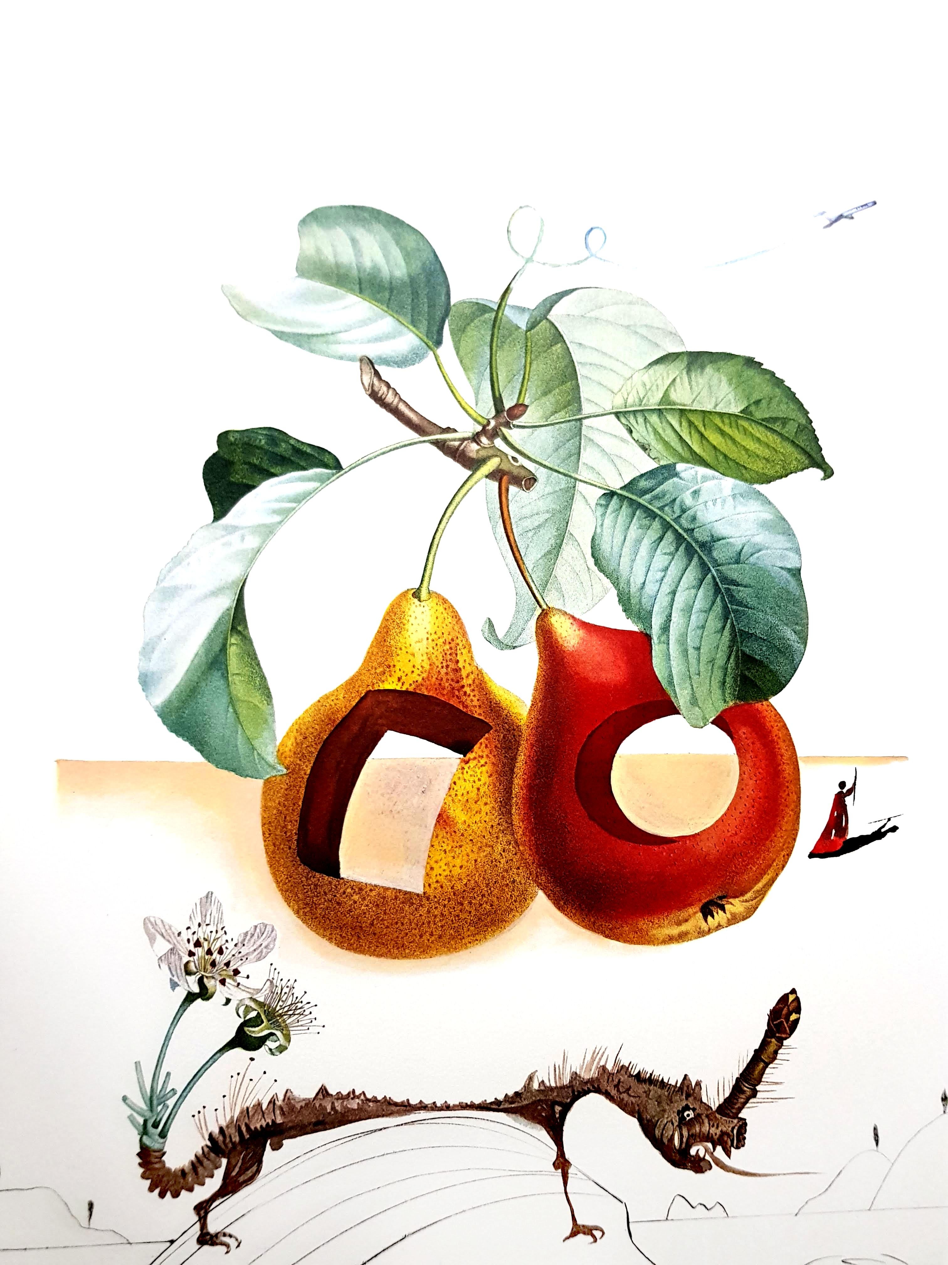 Salvador Dali - Früchte mit Löchern - Original handsignierte Lithographie (Beige), Portrait Print, von Salvador Dalí