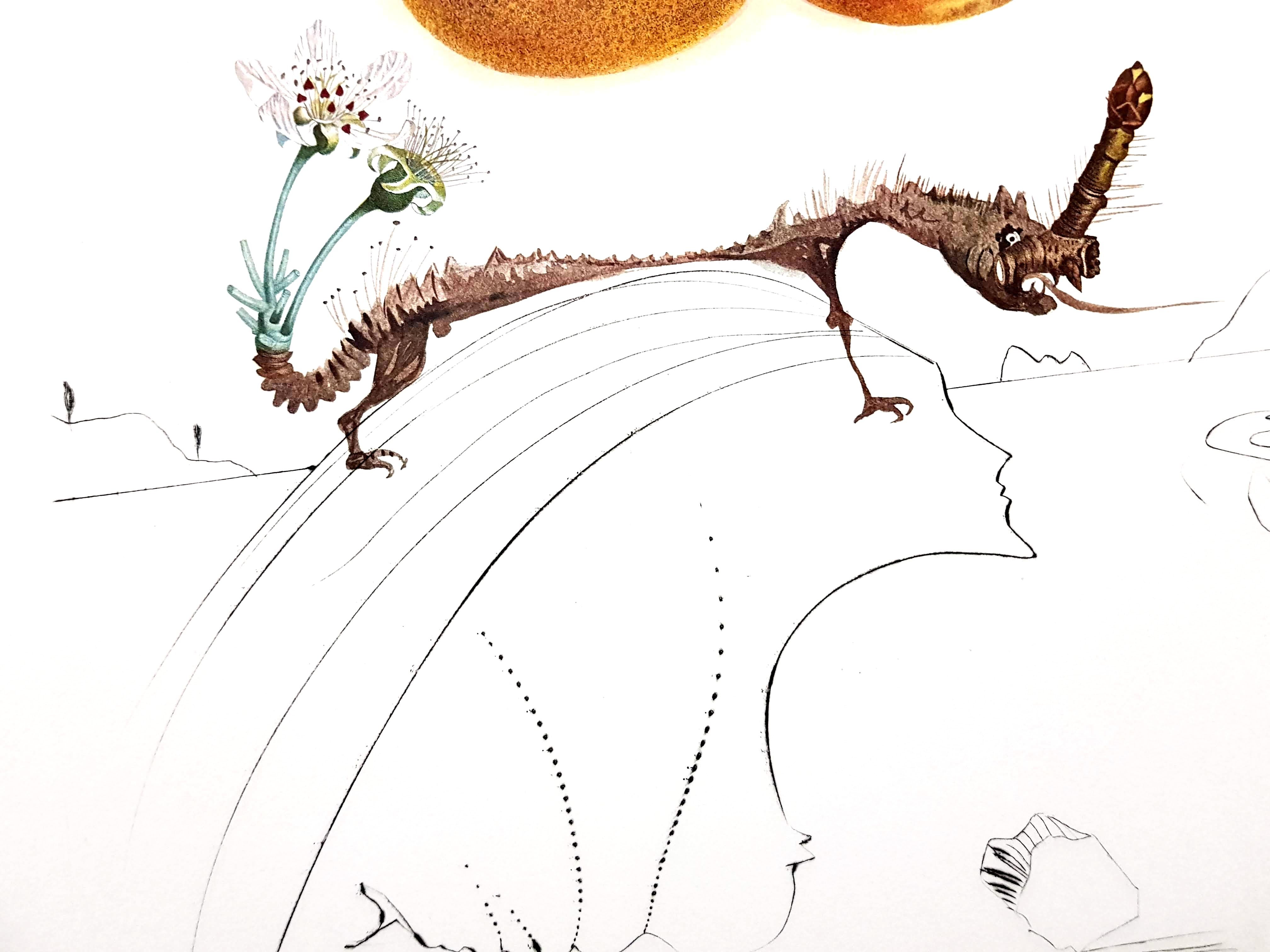 Salvador Dali - Früchte mit Löchern - Original handsignierte Lithographie im Angebot 1