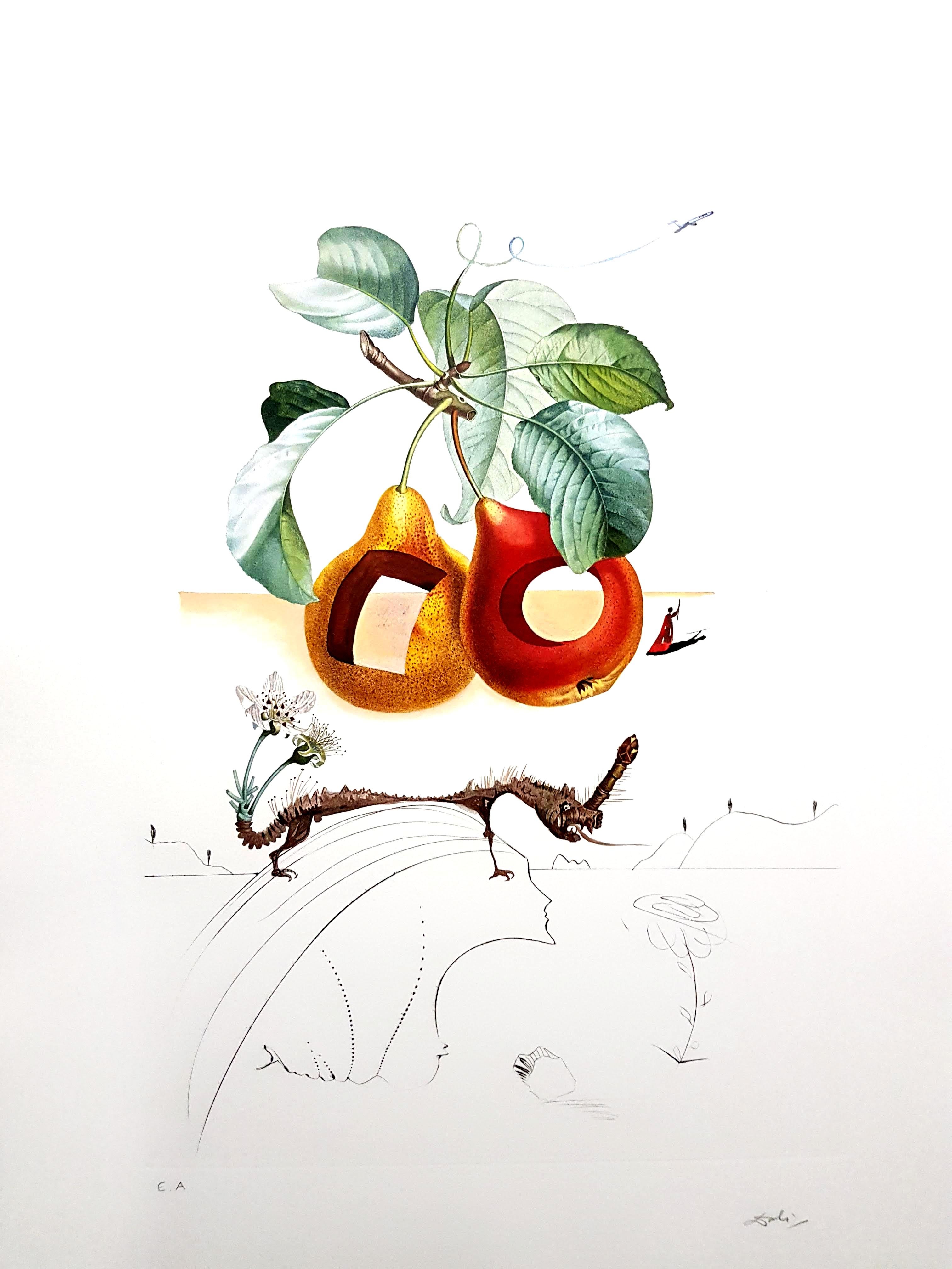 Salvador Dali - Fruits With Holes - Original Hand-Signed Lithograph