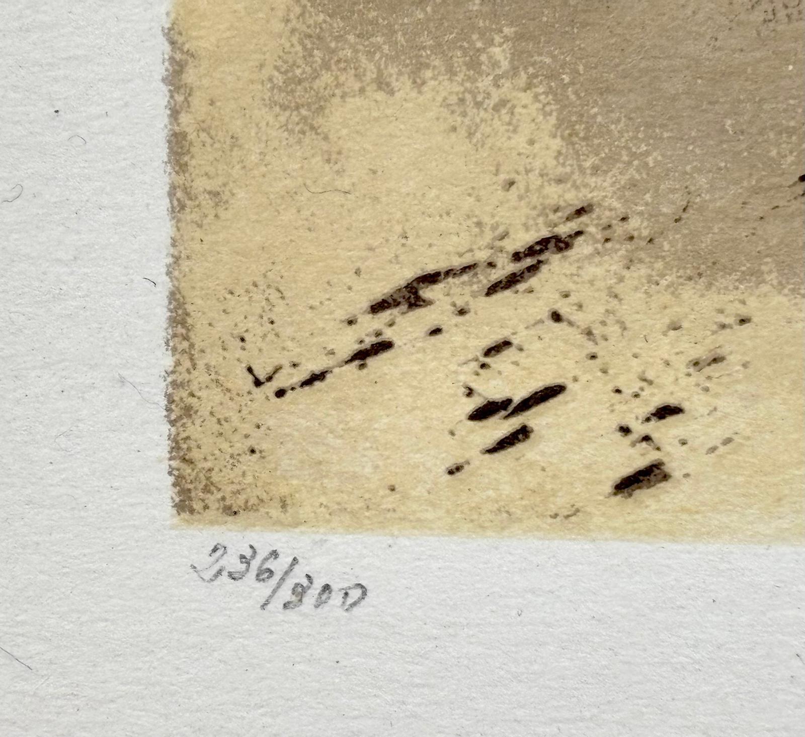 Salvador Dalí, Galería Louis Moufflet (Hommage à Albrecht Dürer), 1971 . im Angebot 5