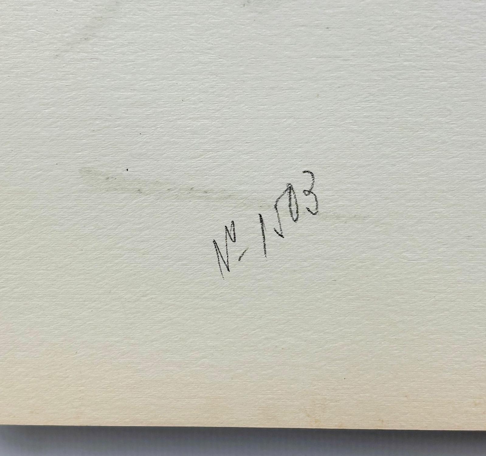 Salvador Dalí, Galería Louis Moufflet (Hommage à Albrecht Dürer), 1971 . im Angebot 7