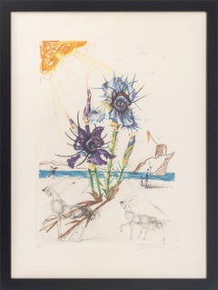 Salvador Dali "Iris (Eyes)" Etching, 1972