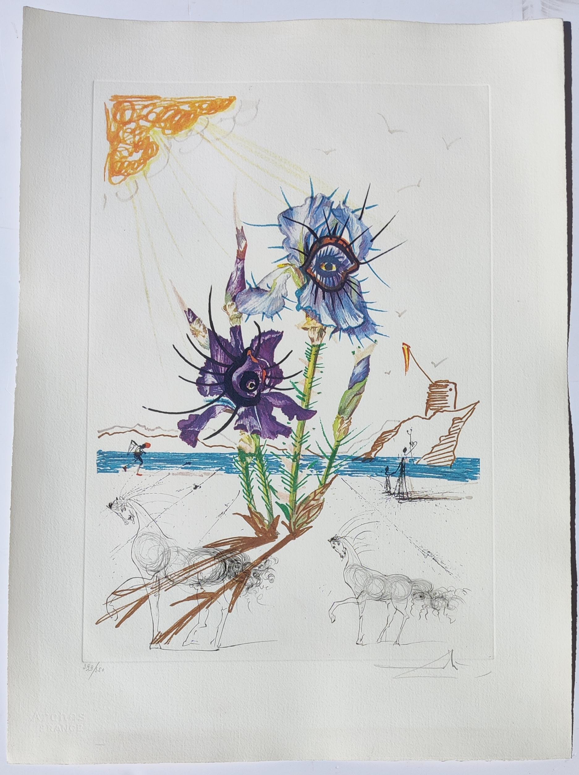 Salvador Dalí -- Iris of Dali's Youth