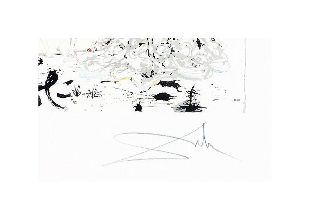 dali lithographie nummeriert und handsigniert