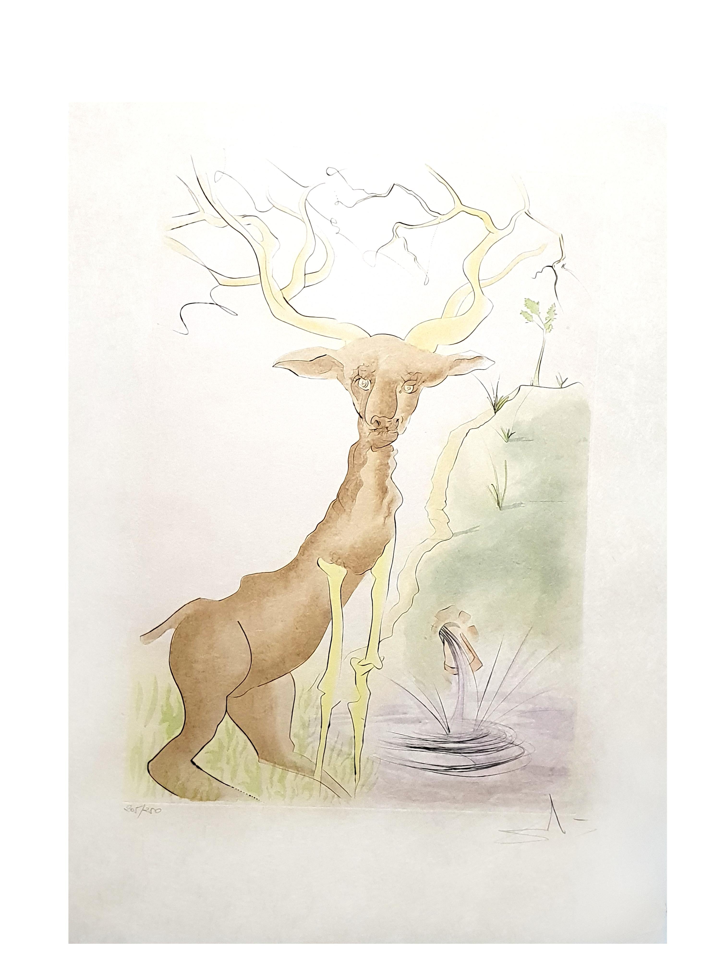 SALVADOR DALI 
Le Cerf se voyant dans l'eau from Le Bestiaire de la Fontaine
1974
Hand signed by Dali
Edition: /250
The dimensions of the image are 22.8 x 15.7 inches on 31 x 23.2 inch paper
Reference: 74-1  in 
