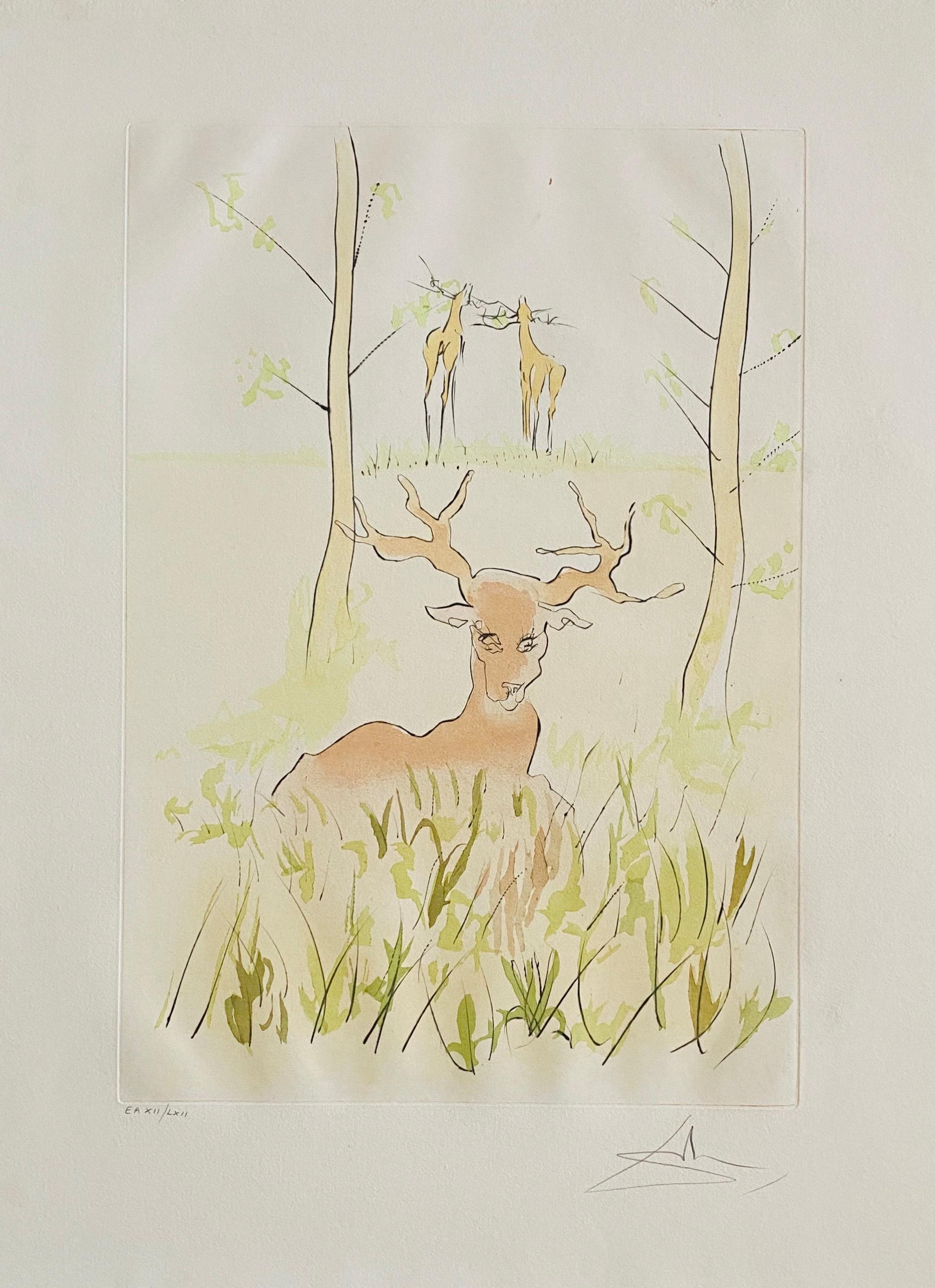 Salvador Dalì, Le Cerf Malade Incisione firmata, litografia a colori Pochoir - Print di Salvador Dalí