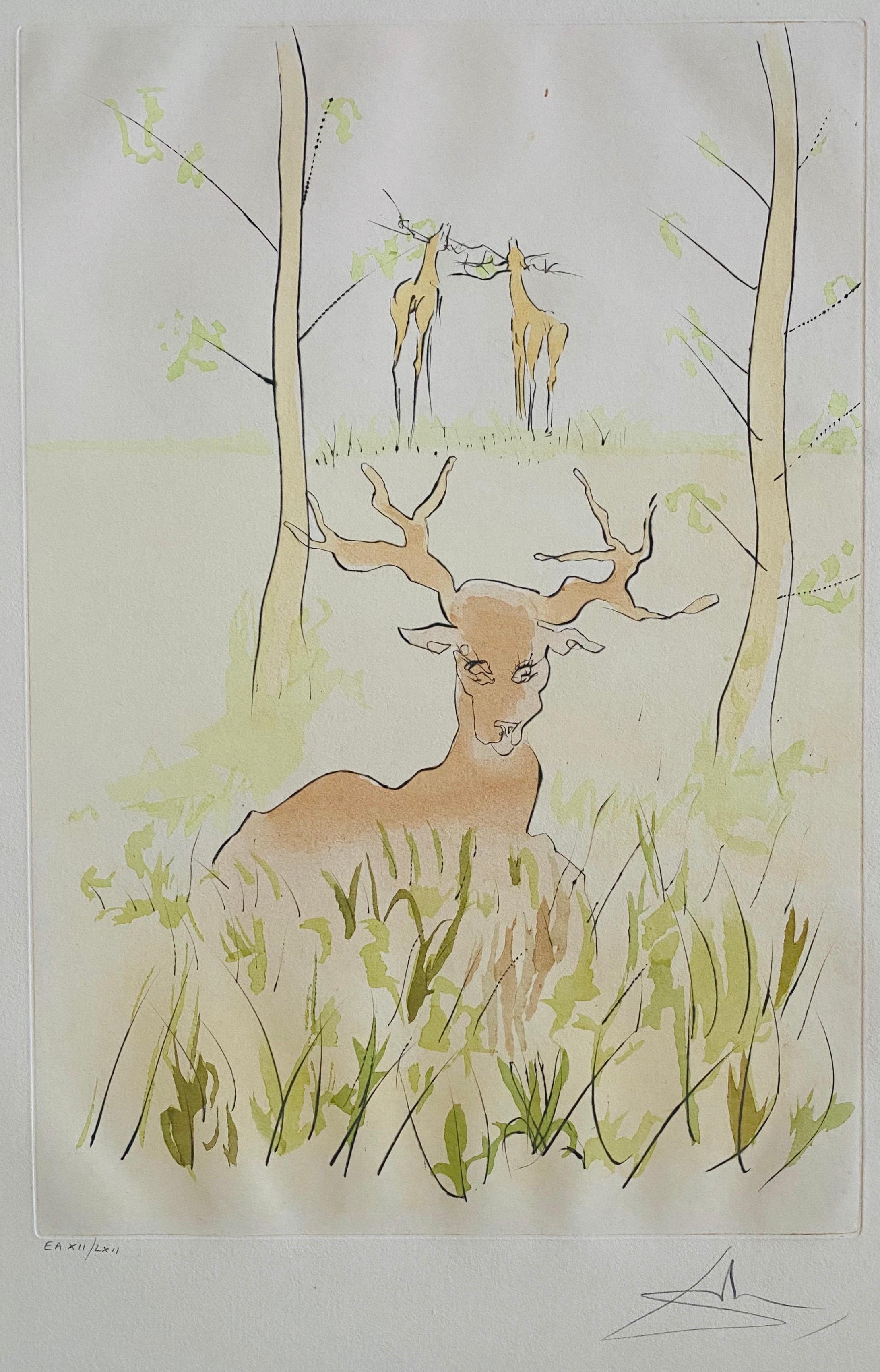 Salvador Dalì, Le Cerf Malade Incisione firmata, litografia a colori Pochoir - Print Surrealismo di Salvador Dalí