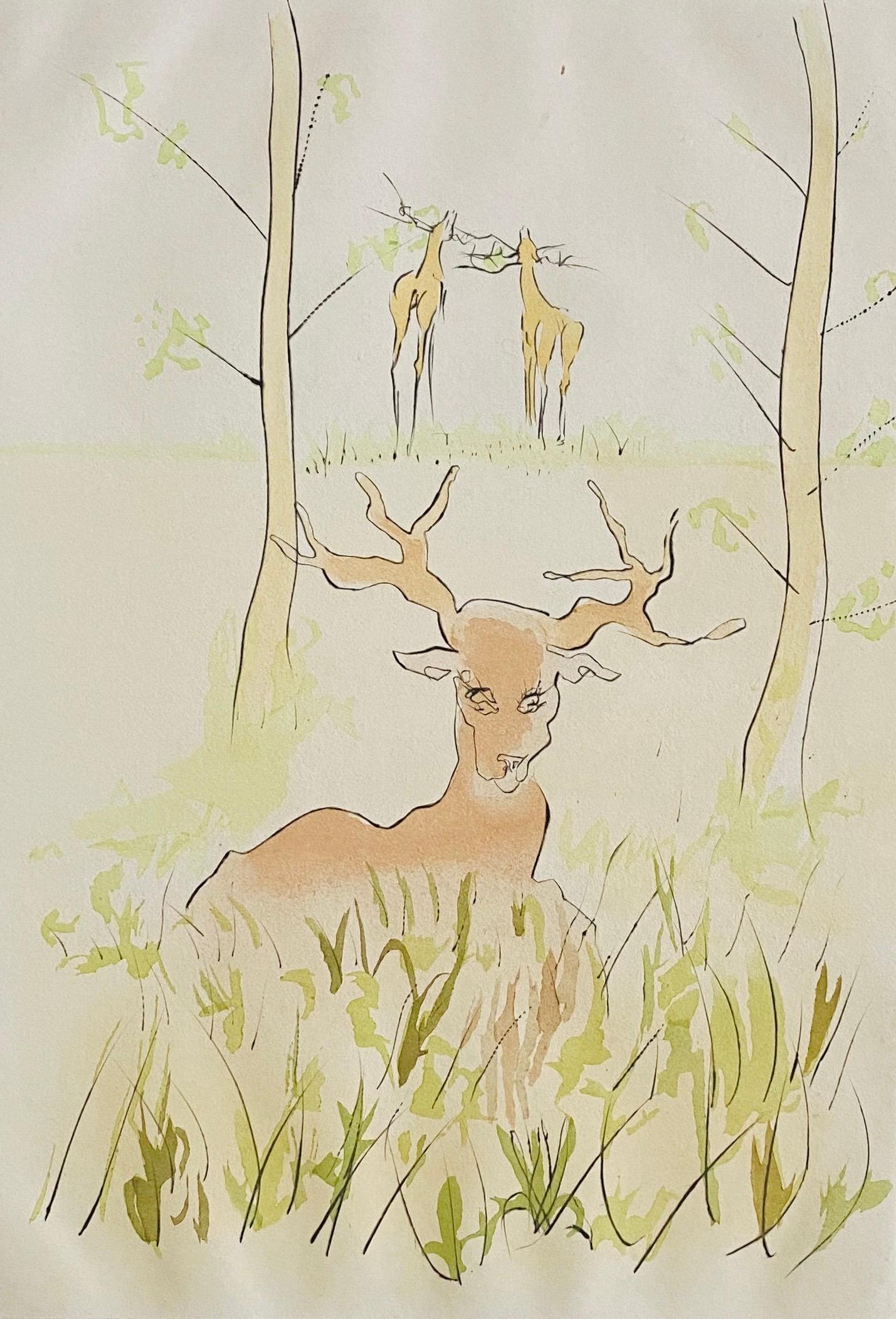 Salvador Dalì, Le Cerf Malade Incisione firmata, litografia a colori Pochoir - Animal Print Grigio di Salvador Dalí