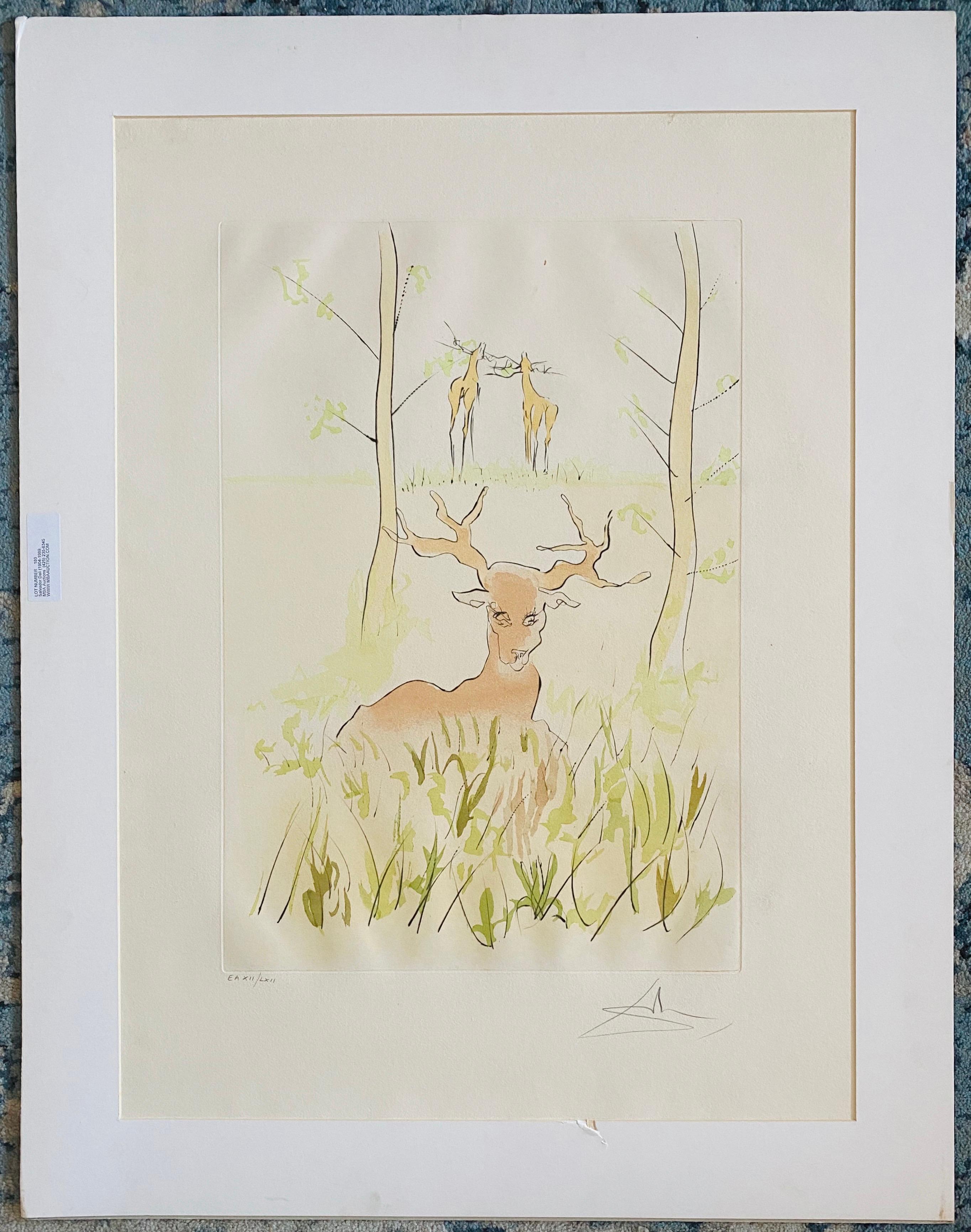 Salvador Dalì, Le Cerf Malade Incisione firmata, litografia a colori Pochoir in vendita 4