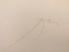 Salvador Dalí­ -- Le Crane, from Anamorphoses