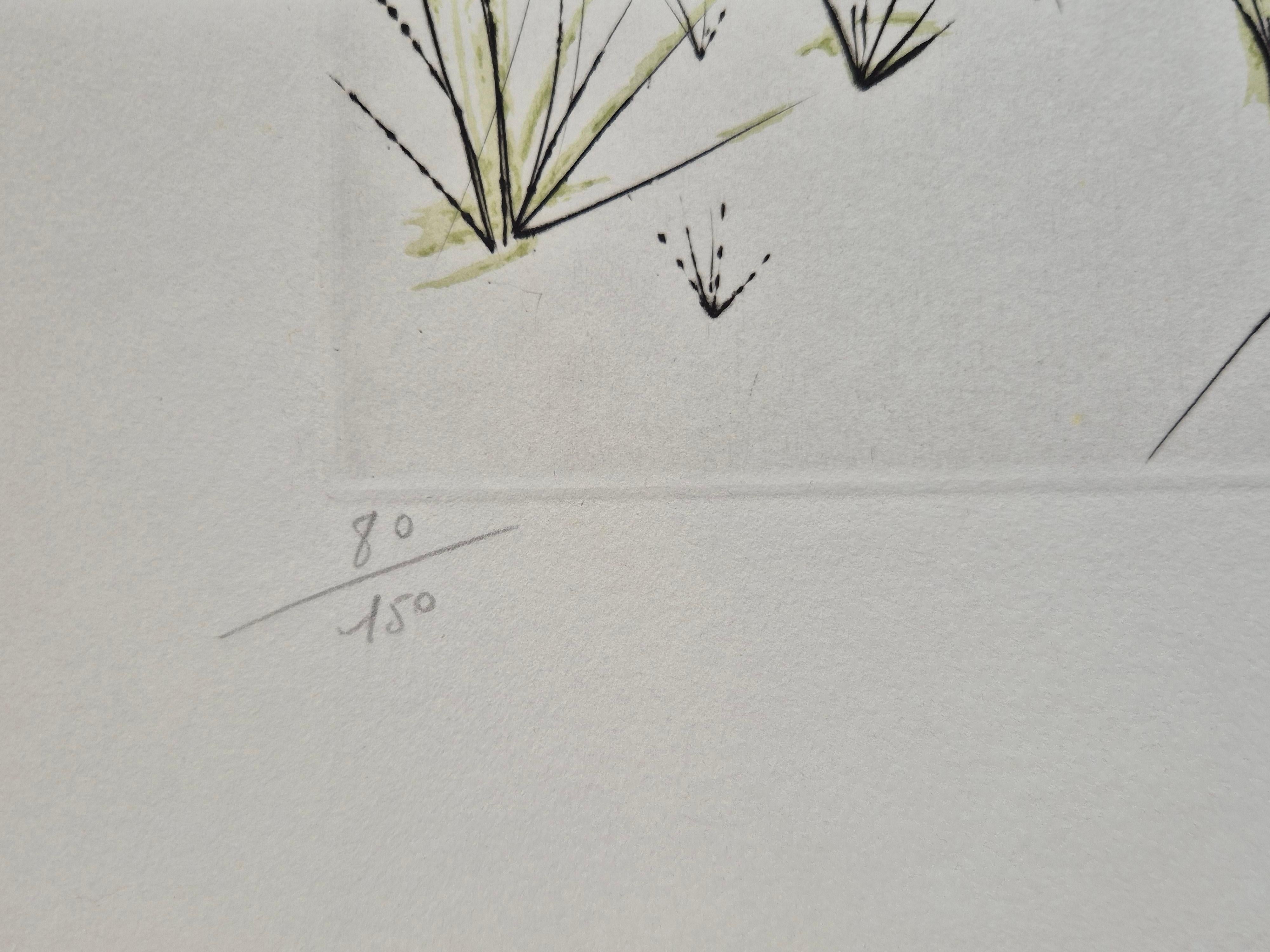 Salvador Dalí­ -- Le Printemps, from Hommage à Albrecht Dürer For Sale 1