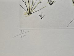 Salvador Dalí­ -- Le Printemps, from Hommage à Albrecht Dürer