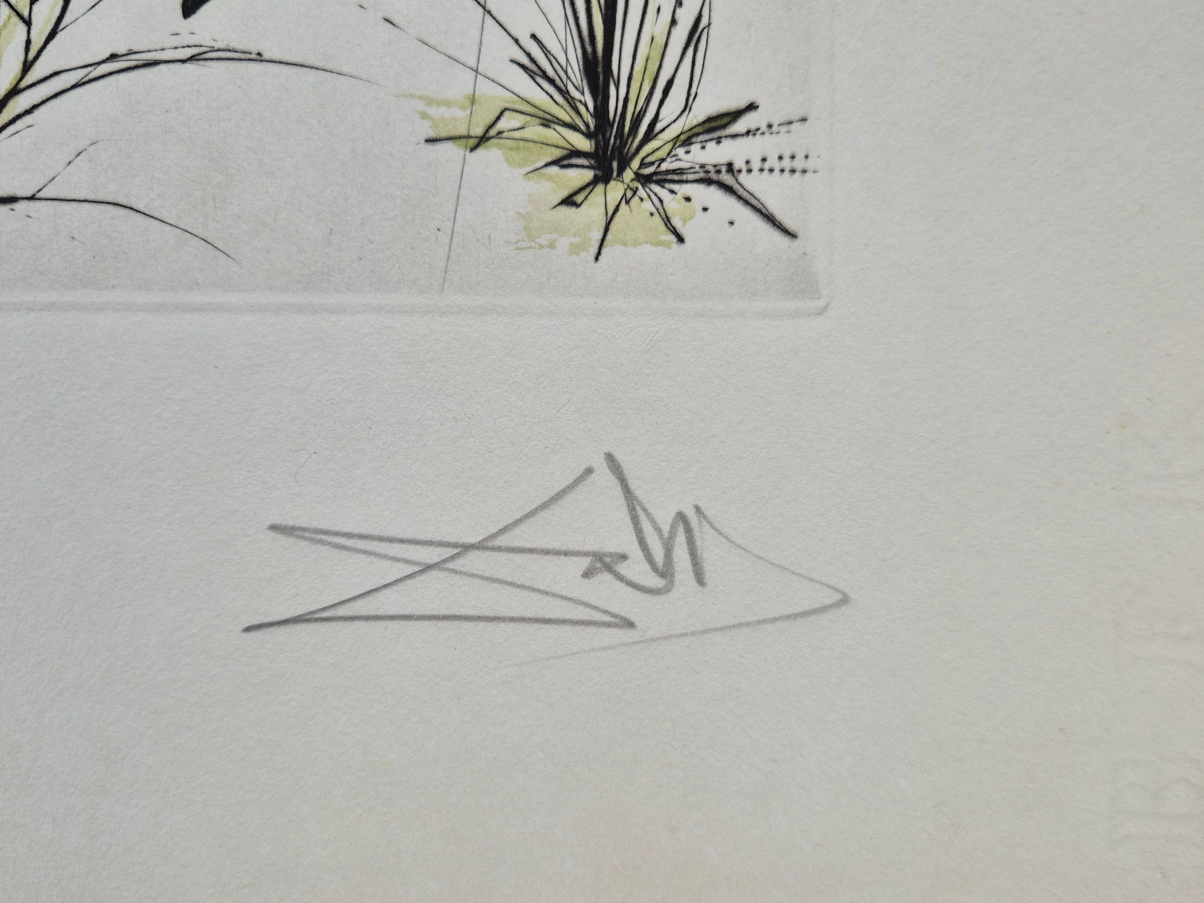 Salvador Dalí­ -- Le Printemps, from Hommage à Albrecht Dürer For Sale 2