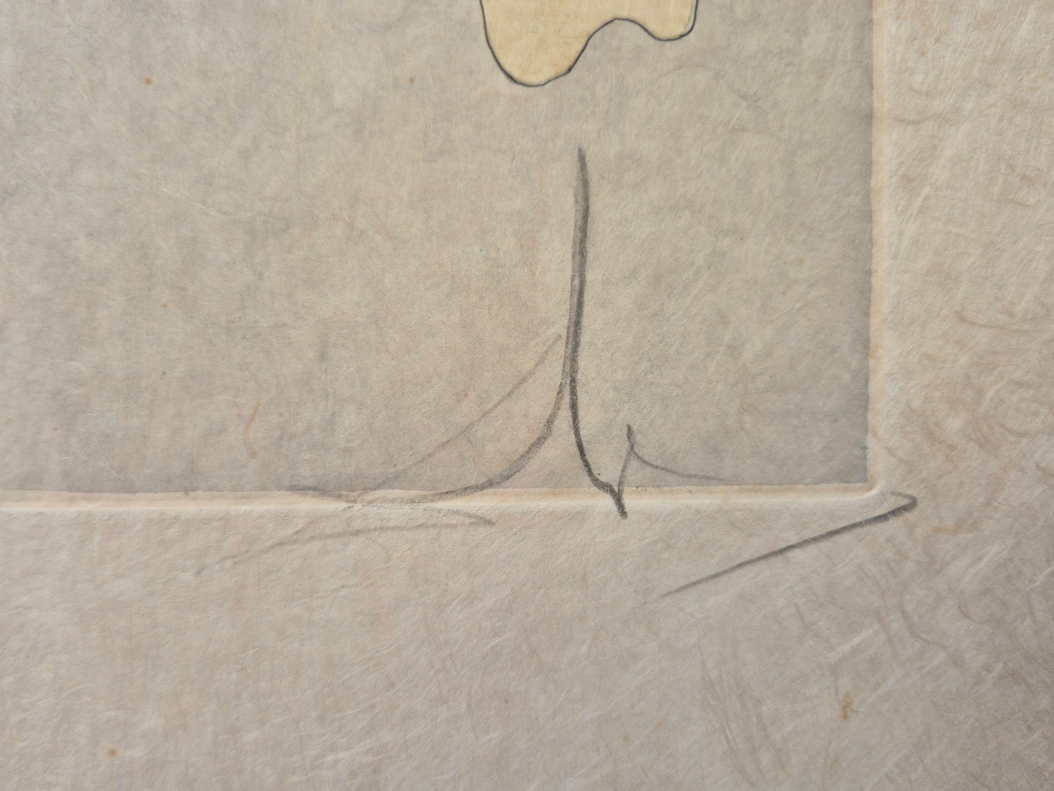 Salvador Dalí­ -- L'Éléphant et le Singe de Jupiter For Sale 3