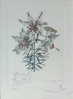 Salvador Dalí -- Lilium Auratum Formicans (Erotic Lily), 1972