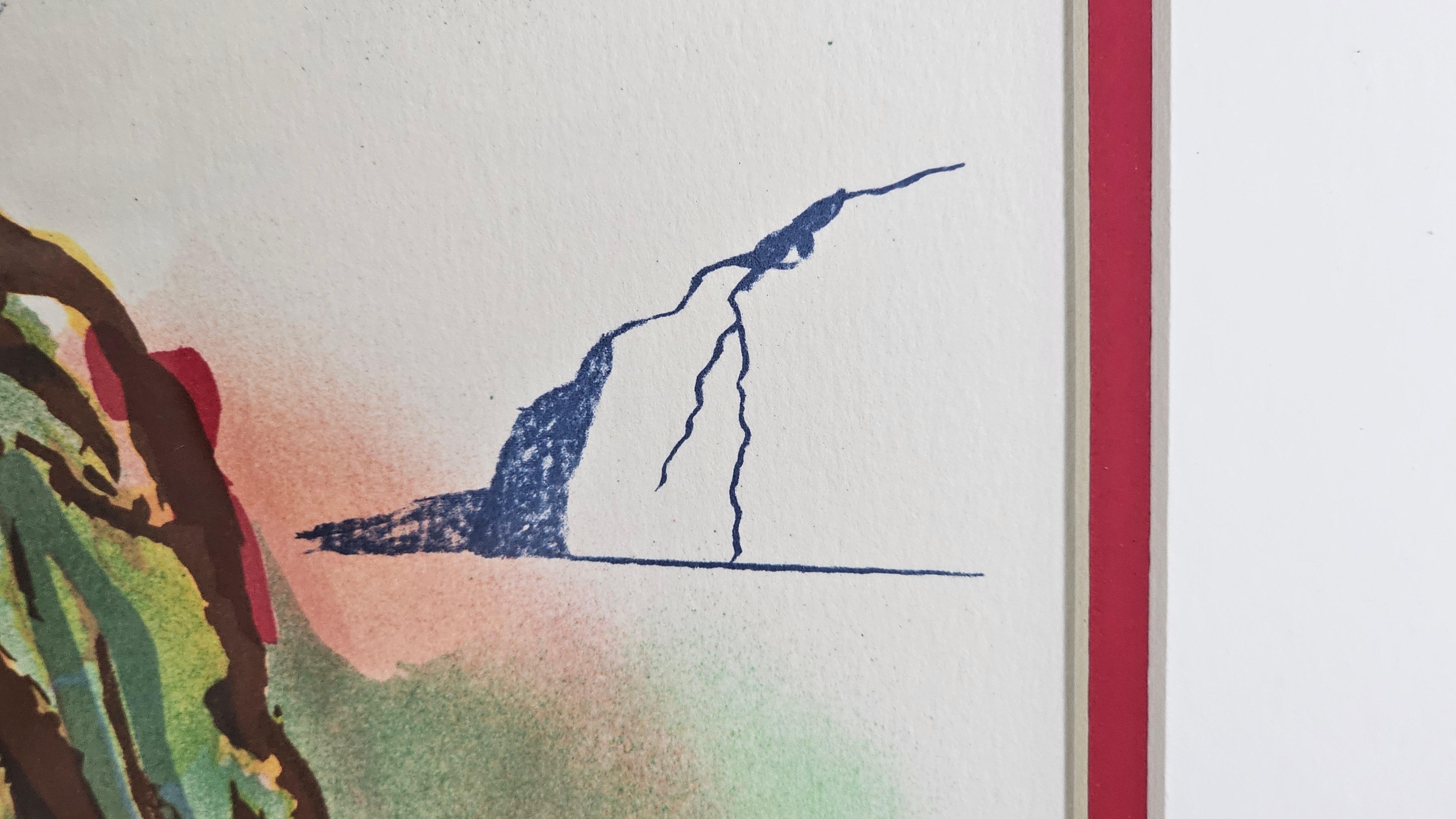 Salvador Dalí Litografía de El arte de amar Ovide 1979, firmada a mano y enmarcada 13