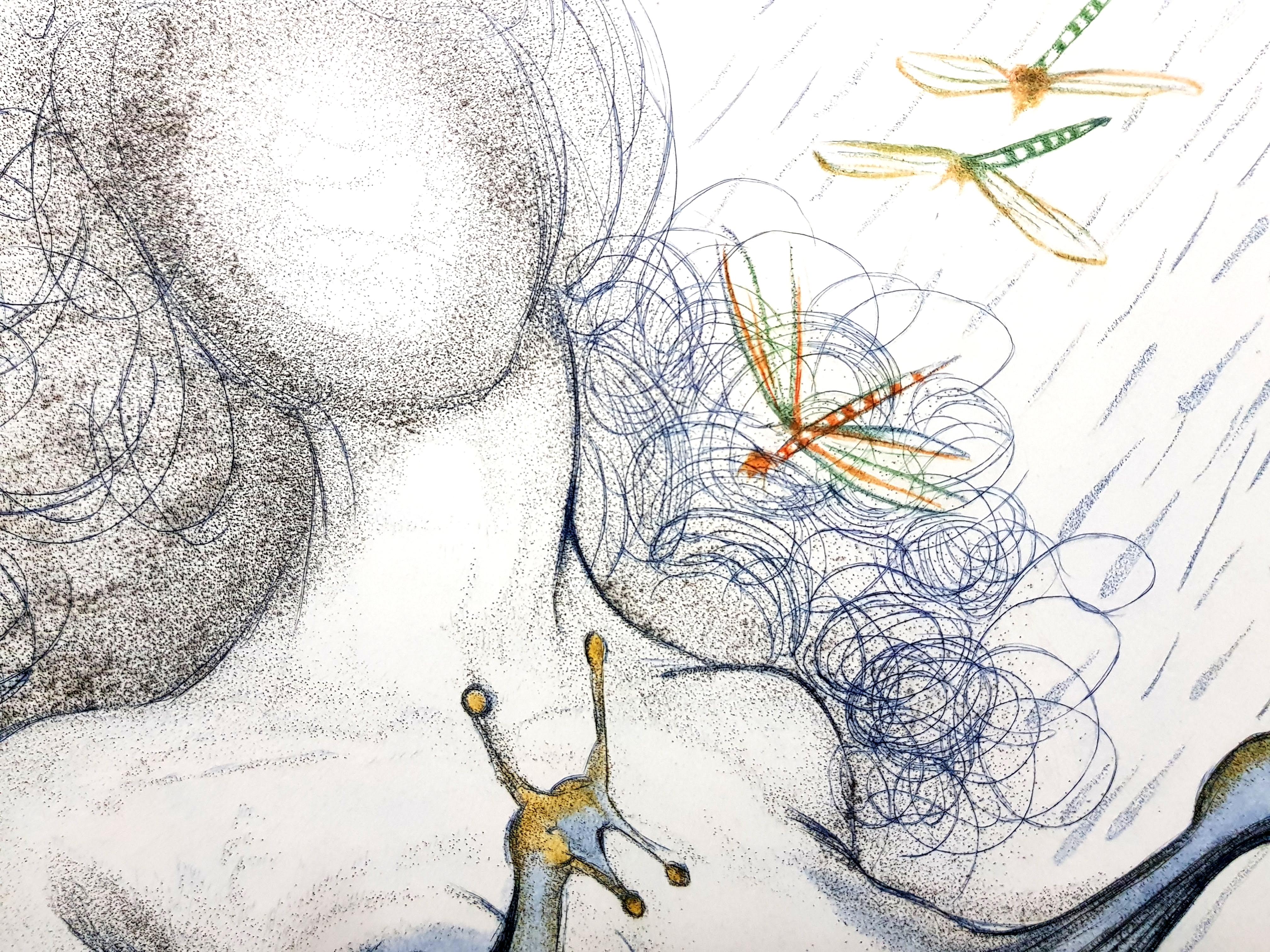 Salvador Dali - Nackter Akt mit Schneckenbläsern (Grau), Nude Print, von Salvador Dalí