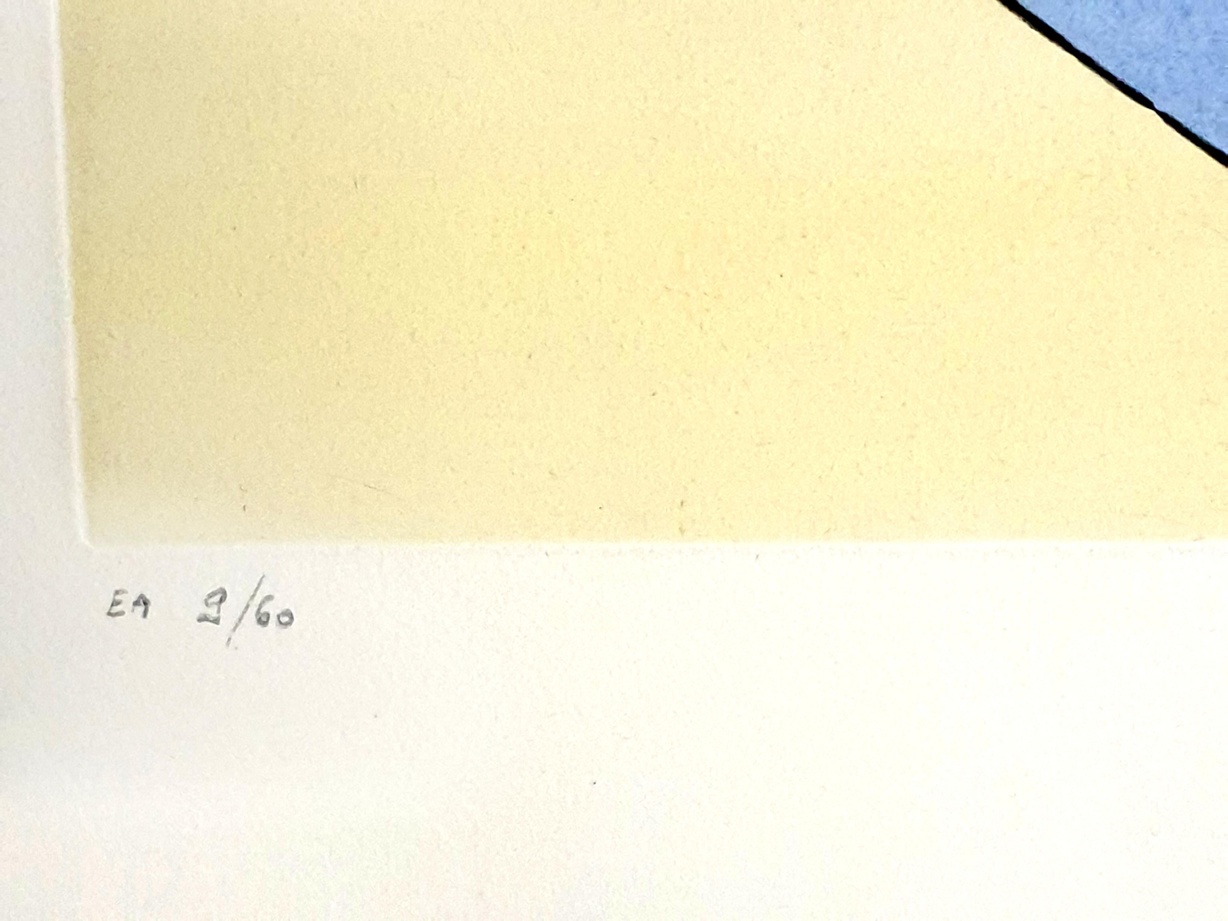 Salvador Dali - Réflections à l'huile - Gravure originale en vente 3