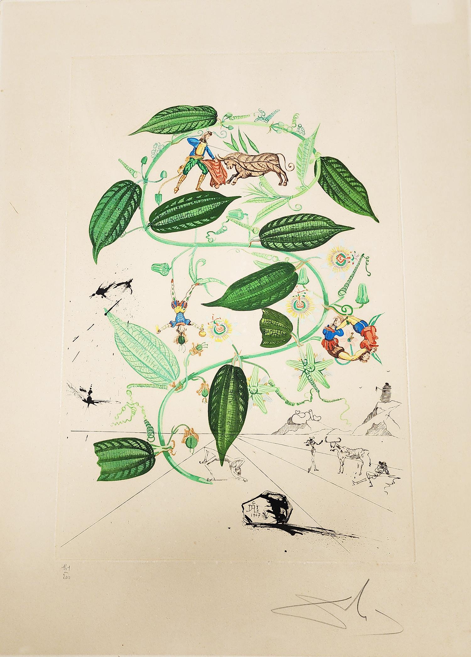 Salvador dali 'Passiflora lauigera - 1968' Litografía/Grabado, Firmada y numerada - Print Surrealista de Salvador Dalí