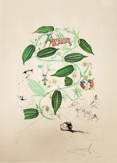 Salvador dali 'Passiflora lauigera - 1968' Lithograph/Etching, Signed & numbered
