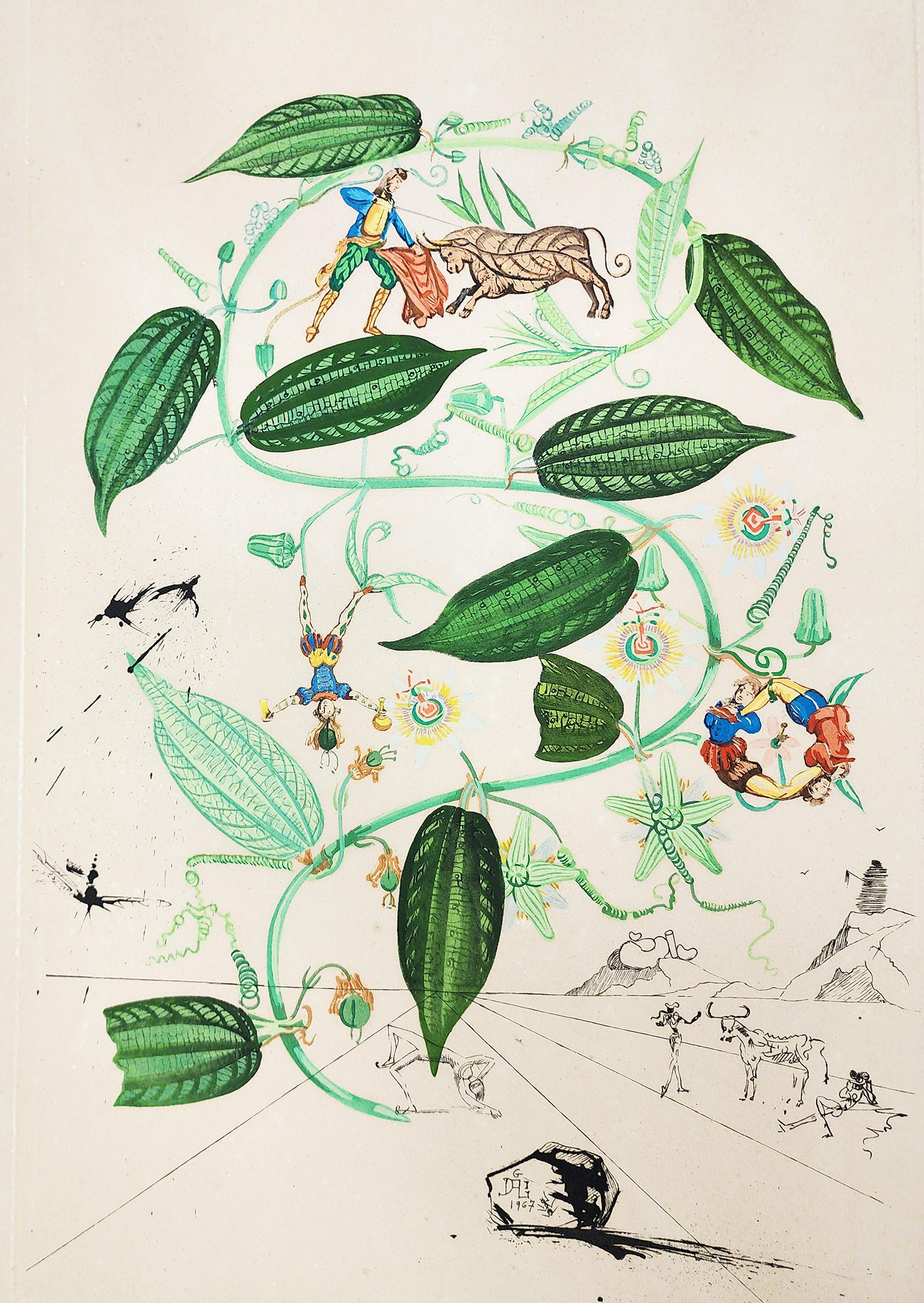 Artista: Salvador Dalí
Título: Passiflora laurigera (La vid, Pasiflora)
Cartera: 1968 Flora Dalinae
Medio: Fotolitografía, aguafuerte y pochoir en colores sobre BFK Rives
Fecha: 1968
Edición: 161/200
Tamaño de la hoja: 30