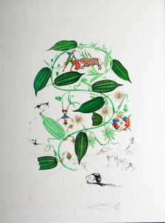 Salvador dali 'Passiflora lauigera - 1968' Lithograph/Etching, Signed & numbered