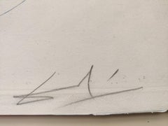 Salvador Dalí­ -- Pegasus from The Mythology suite