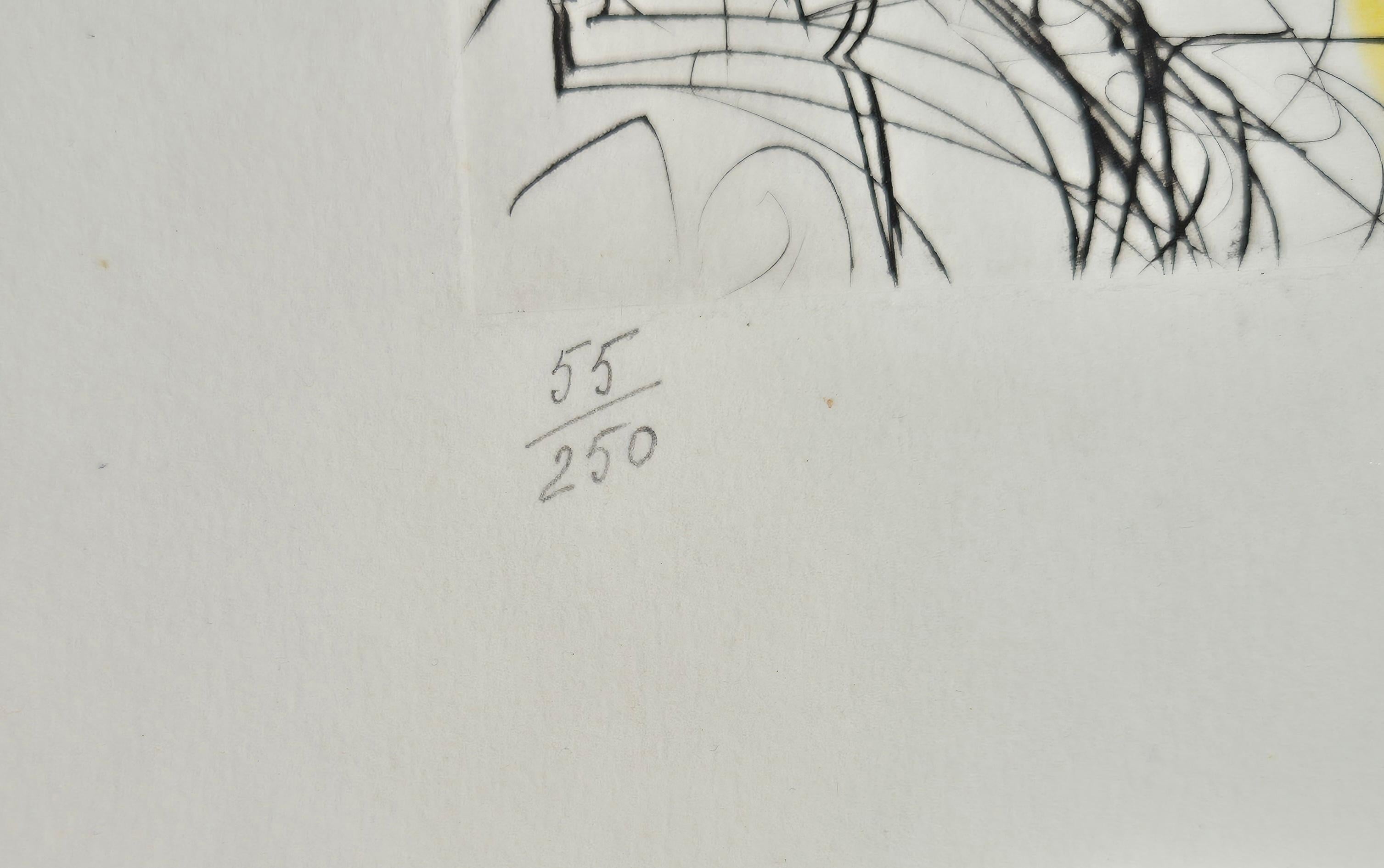 Salvador Dalí -- Ort Furstenberg im Angebot 2