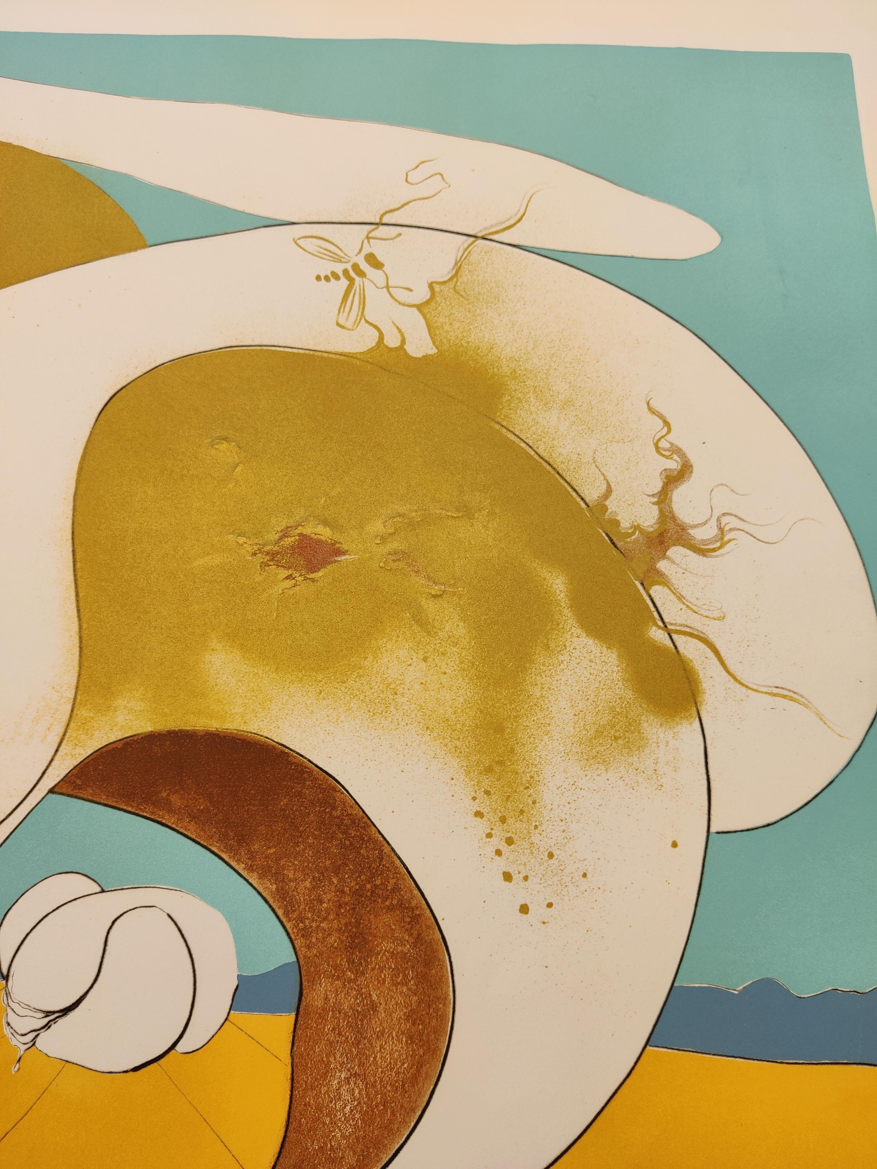 Salvador Dali -- Planetary and scatological visionlithograph For Sale 1